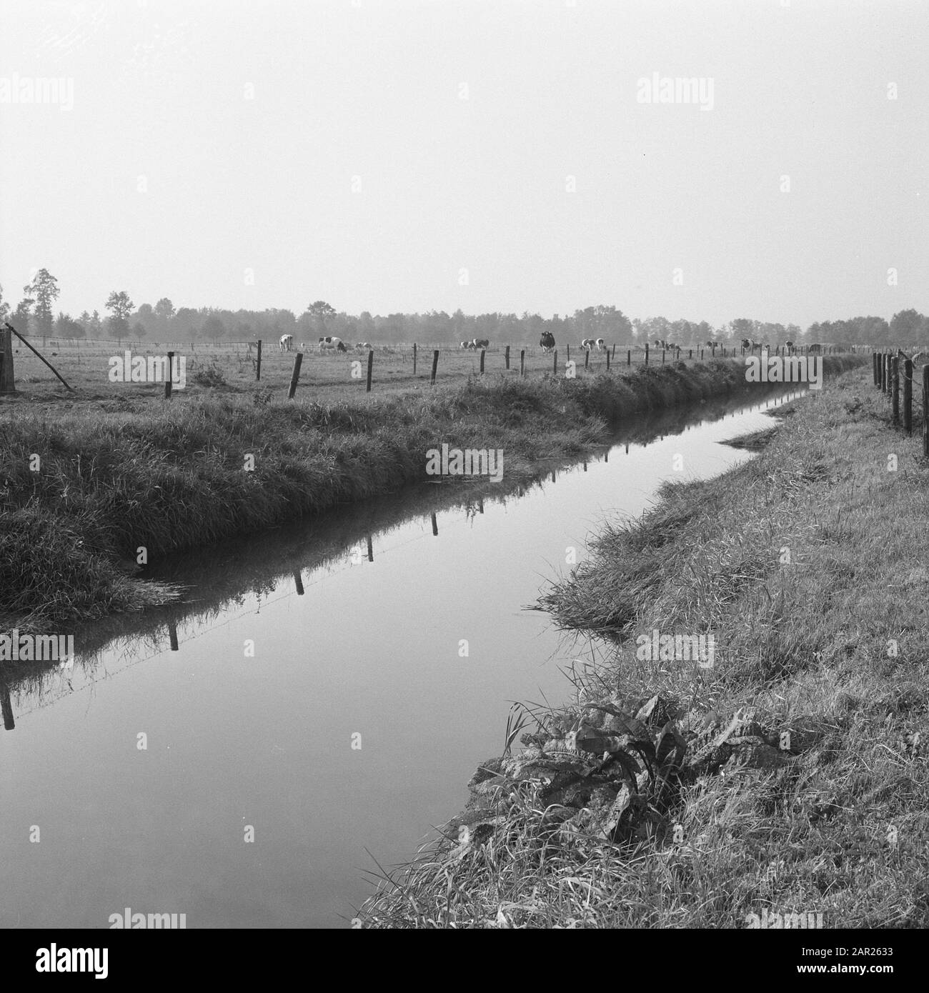 Pipeline 1/near crossbreekweg Data: Settembre 1964 Località: Luntersebeek Parole Chiave: Ruscelli, subacquei e giardinaggio, scavo e smorzamento di fossati, posa fogne, tubi, normalizzazione dei flussi, panoramiche, terra Nome istituzione: Water Board Luntersebeek Foto Stock
