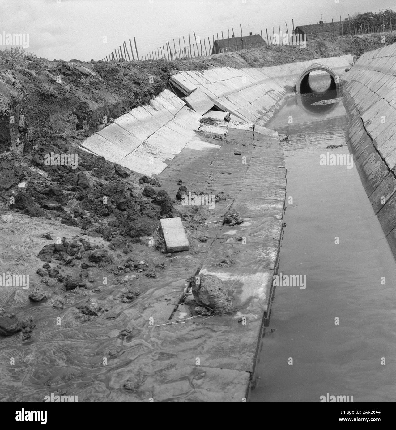 Normalizzazione di ruscelli, scavi e fossati smorzanti, posa fognatura, subacquei e giardinaggio, piastrelle di cemento, tubi, impianti di argine, lolllebeek Data: Maggio 1965 luogo: America, Horst Parole Chiave: Piastrelle di cemento, subacquei e giardinaggio, scavo e smorzamento fossati, posa fognatura, tubi, normalizzazione di flussi, terrapieni Nome di persona: Swap llebeek Foto Stock