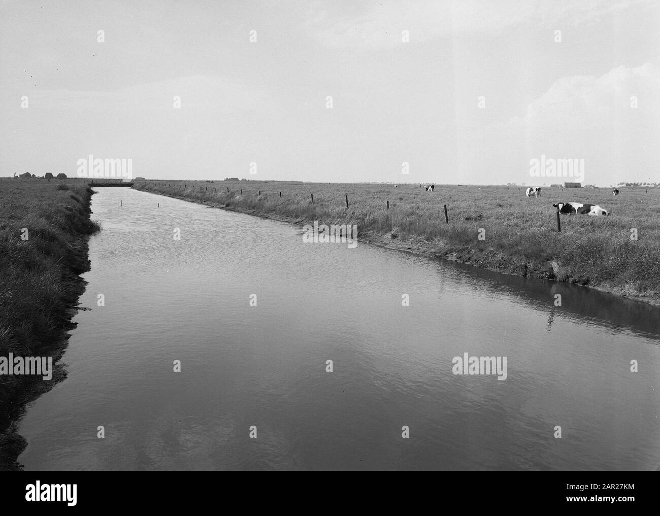 Normalizzazione di ruscelli, scavo e smorzamento di fossati, posa fognatura, subacquei e giardinaggio, tubi, impianti igienico-sanitari, Poortvlietse Weihoek Data: Giugno 1958 Località: Poortvlietse Weihoek Parole Chiave: Subacquei e giardinaggio, scavo e smorzamento fossati, posa fognatura, tubi, normalizzazione di flussi, imprese di bonifica Foto Stock