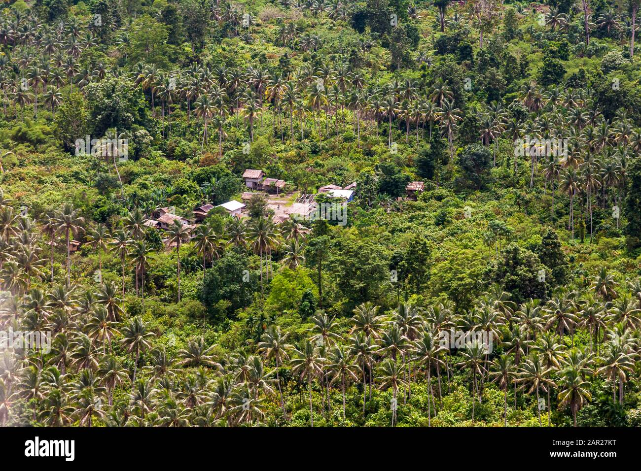 Vista aerea su Bougainville, Papua Nuova Guinea Foto Stock