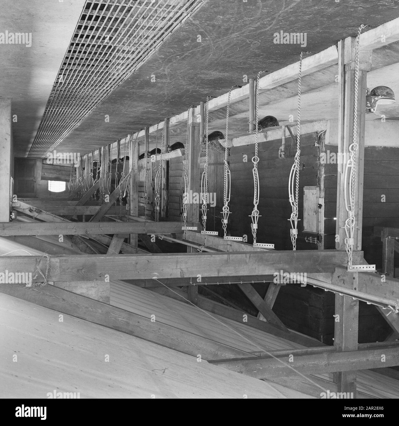 Edifici, stalle, fienili, ristrutturazioni Data: 1968 Località: Beesd Parole Chiave: Edifici, fienili, stalle, ristrutturazioni Foto Stock