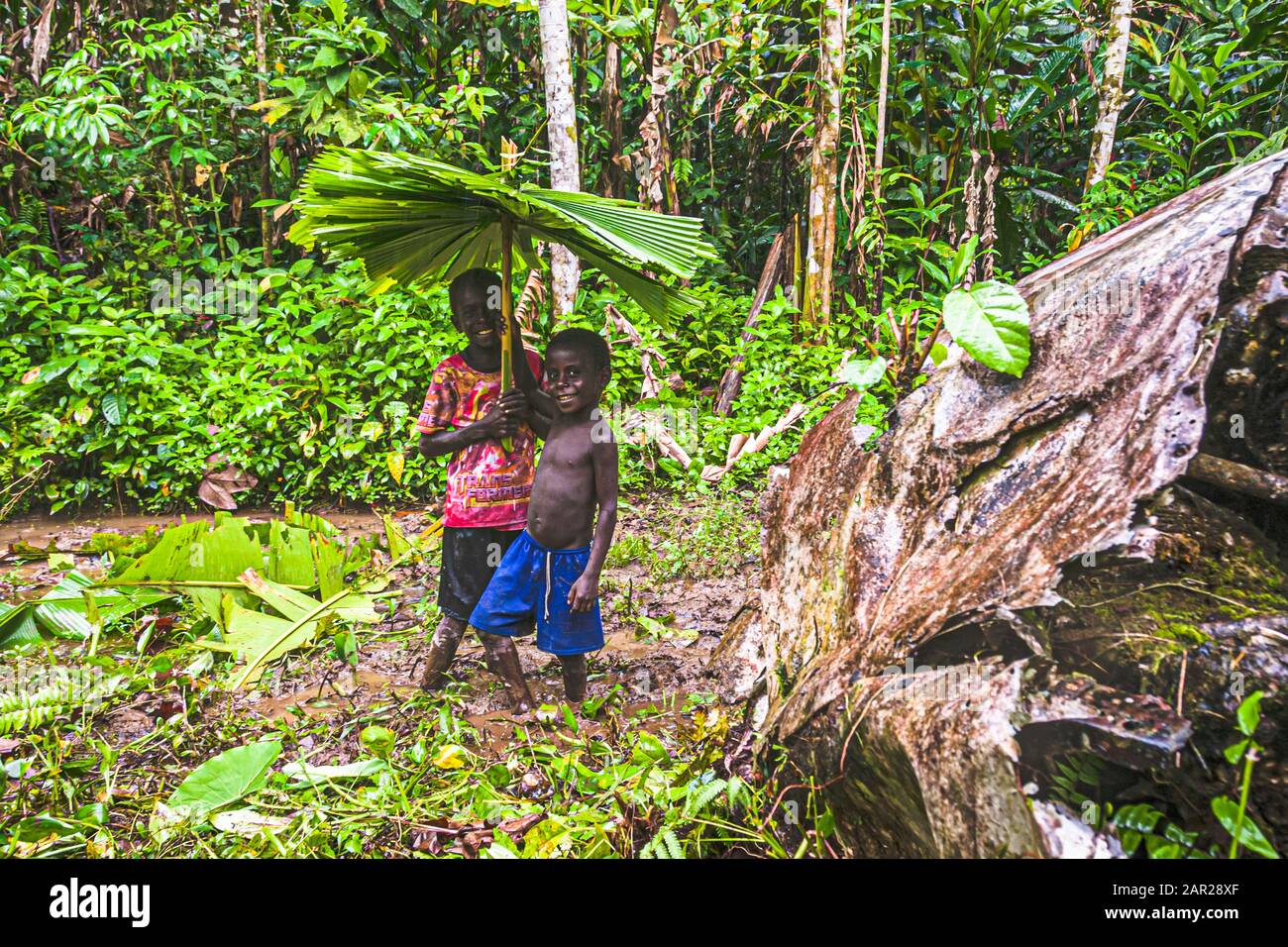 Due ragazzi con ombrelloni da pioggia fatti in proprio nella giungla di Bougainville Foto Stock