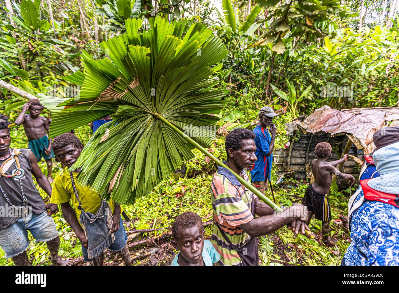 Rack di aerei dell'ammiraglio giapponese Yamamoto nella giungla di Bougainville, Papua Nuova Guinea Foto Stock
