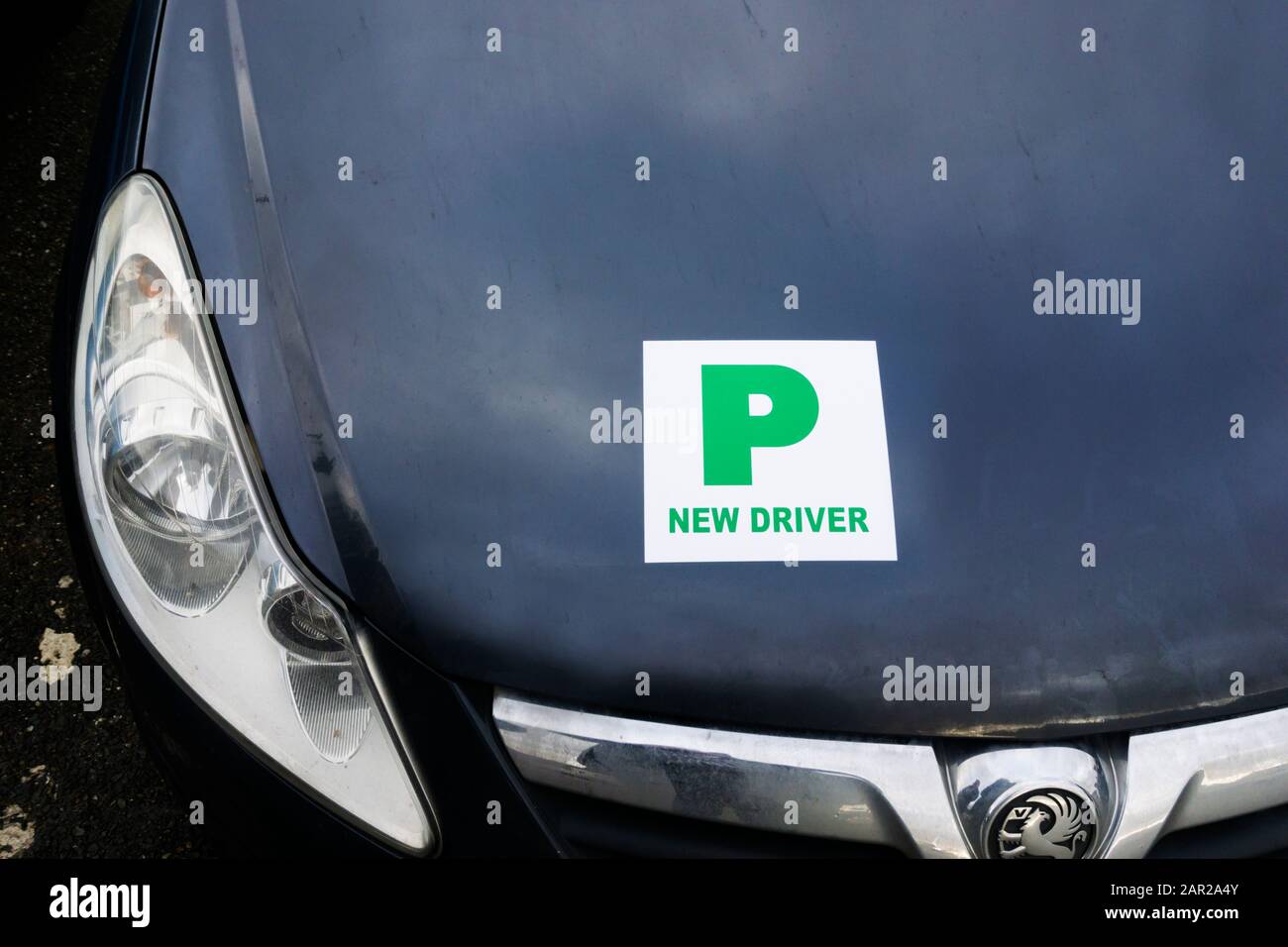 Un cartello P New driver sulla parte anteriore di un'auto. Foto Stock