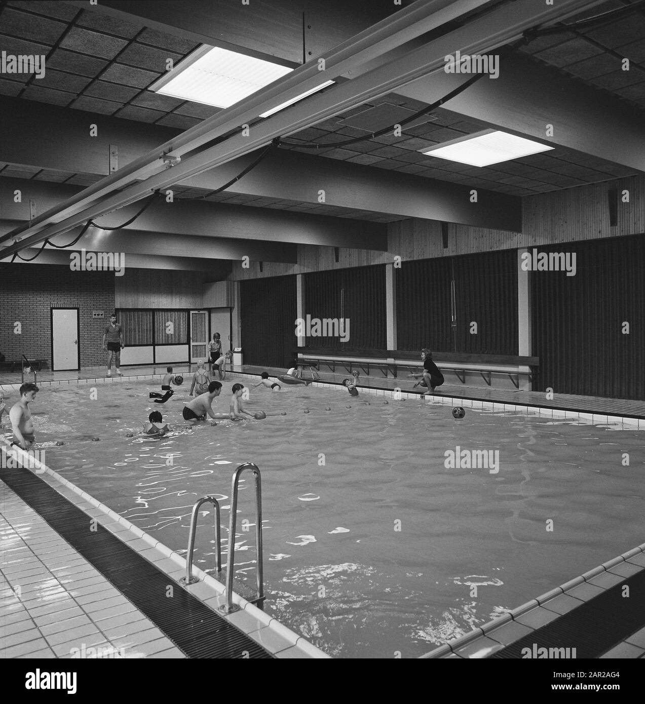 Instructieben Data: 1973 luogo: Gelderland, Winterswijk Parole Chiave: Instructieben Foto Stock