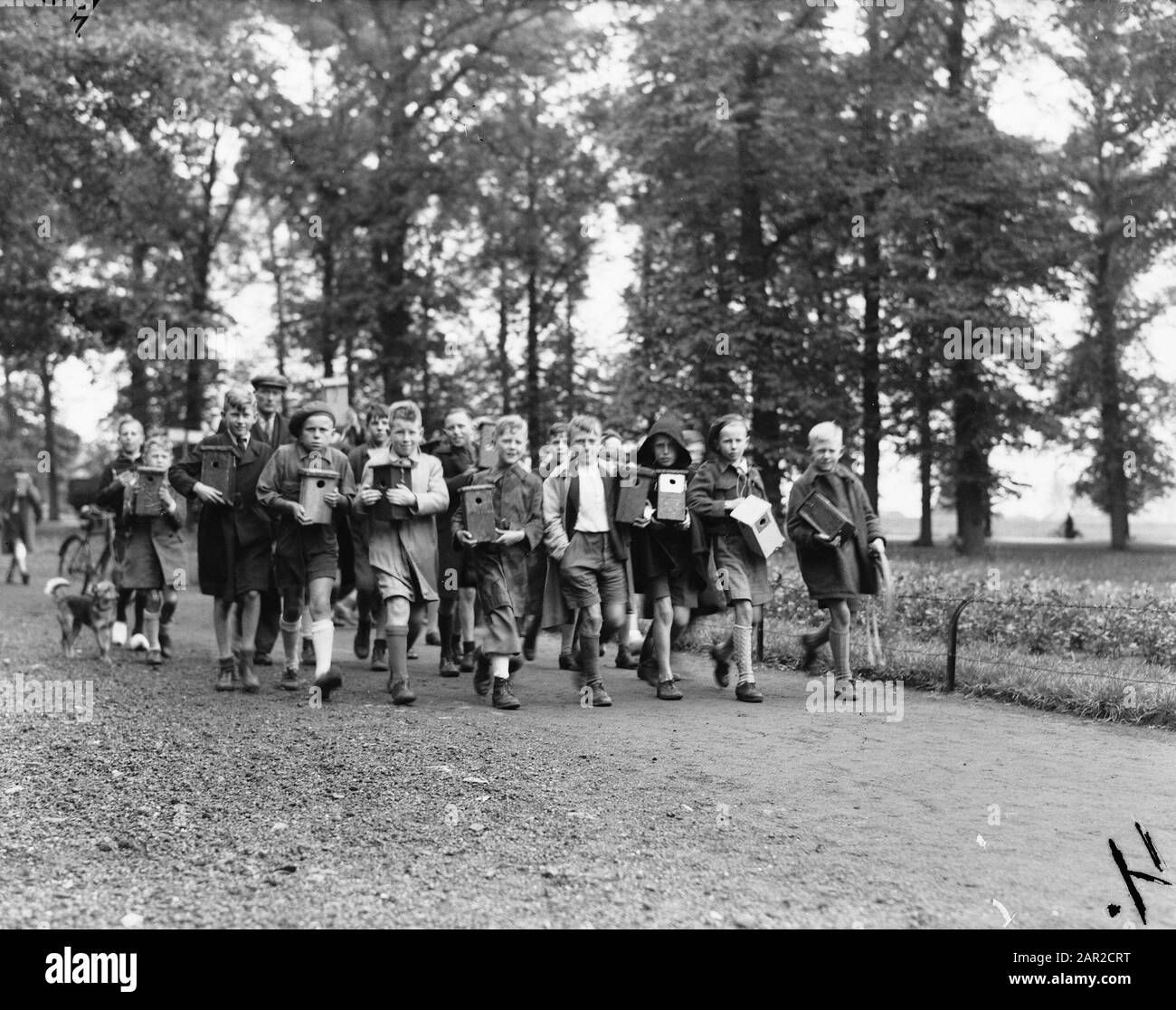 Luogo di nidificazione degli uccelli Data: 24 maggio 1946 Parole Chiave: Luoghi, UCCELLO NAST Foto Stock