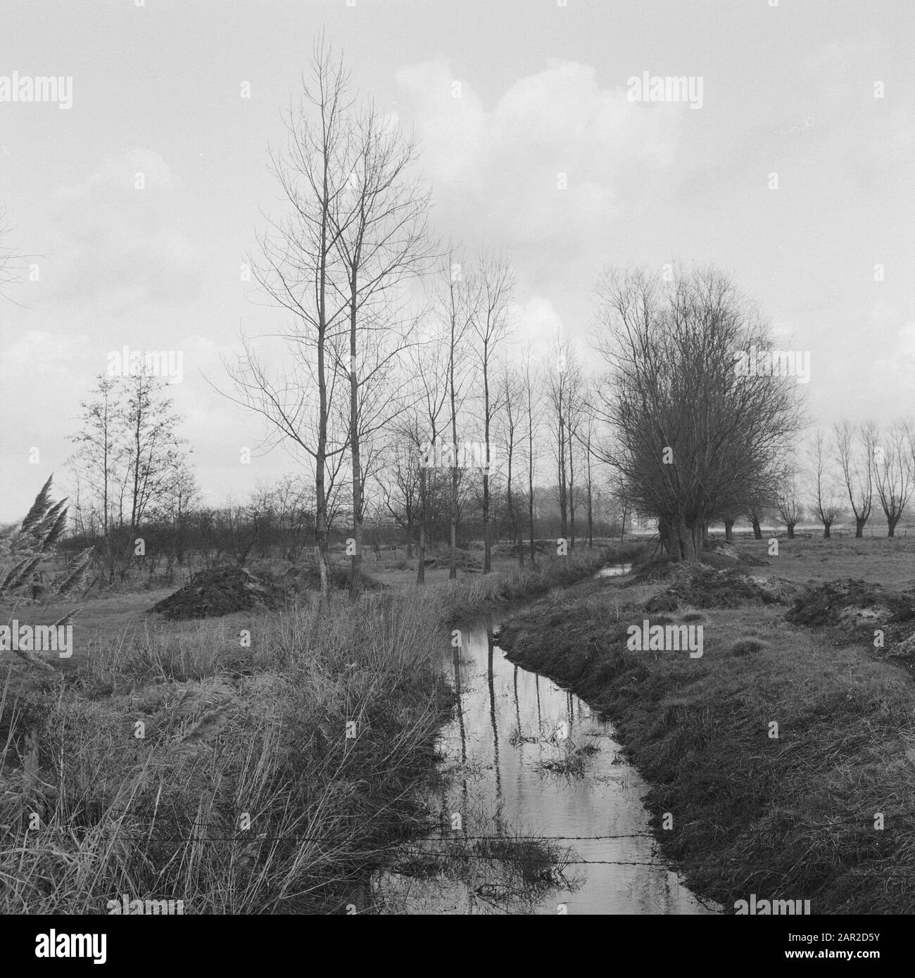 Normalizzazione di ruscelli, tombe e scimmie demoniache di fossati, nemelaer Data: Undicated luogo: Boxtel, Tilburg Parole Chiave: Tombe e scimmie demoniache di fossati, normalizzazione di beken Nome personale: Nemelaer Foto Stock