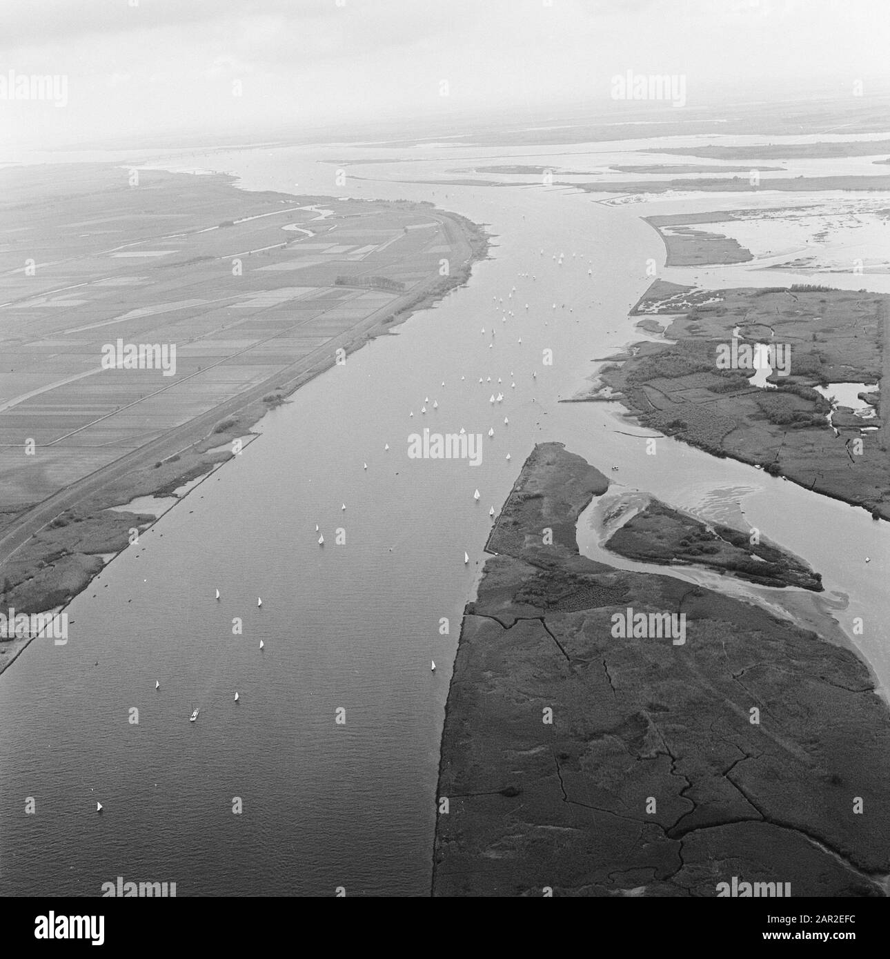 Landscapes Data: Unundated Location: Biesbosch Parole Chiave: Landscapes Foto Stock