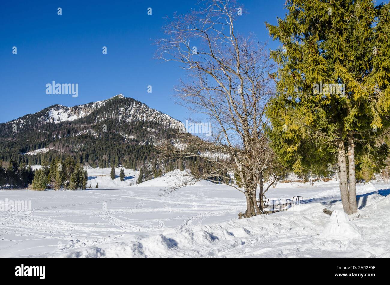 In inverno normale Lago Spitzing - Spitzingsee è congelato sopra e coperto di neve. Foto Stock