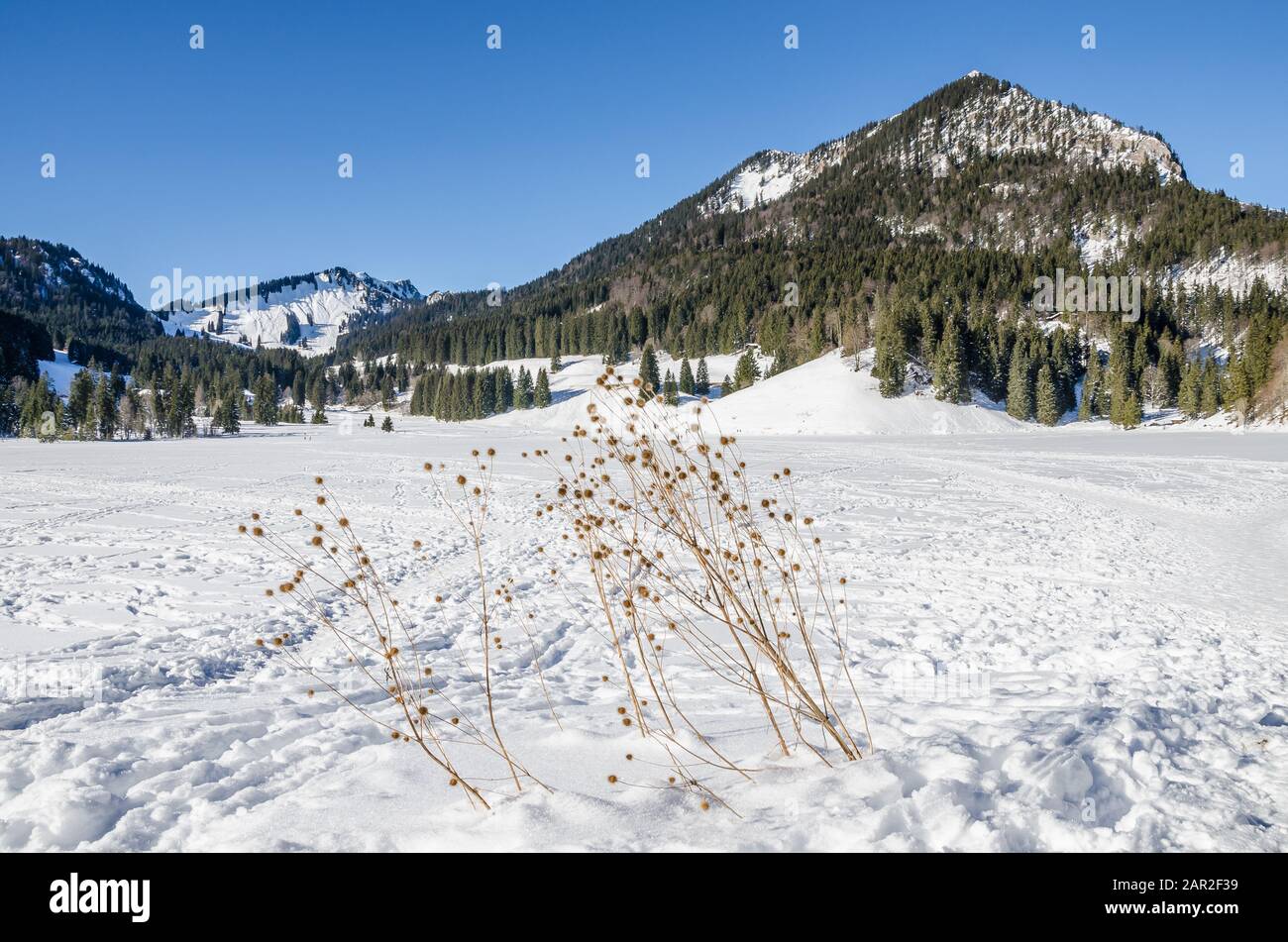 In inverno normale Lago Spitzing - Spitzingsee è congelato sopra e coperto di neve. Foto Stock