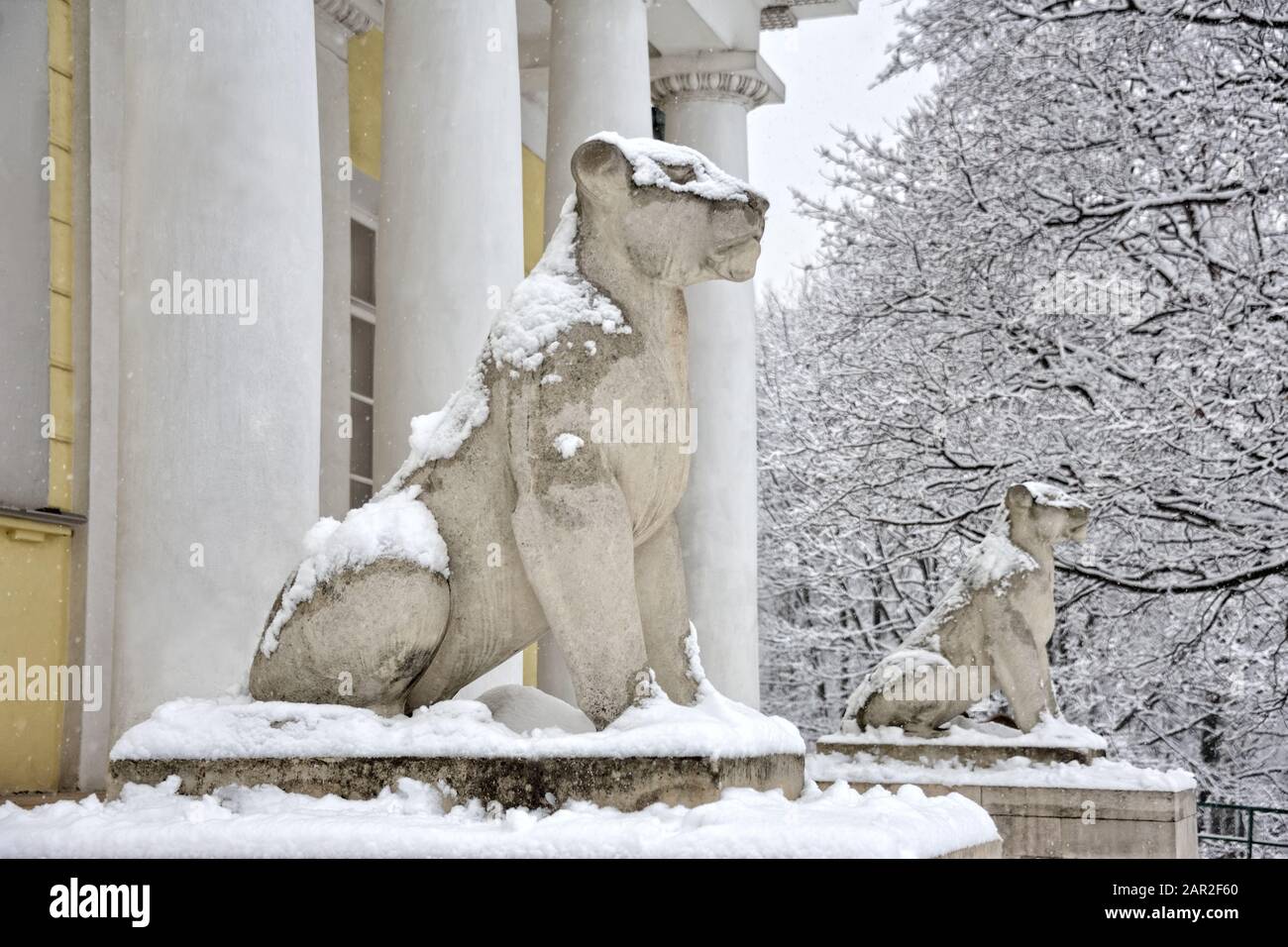 = Sculture coperte di neve di Lioness al Padiglione del Palazzo = Vista angolare sulle due sculture di contessa che custodiscono la facciata principale del Palazzo Pavilio Foto Stock