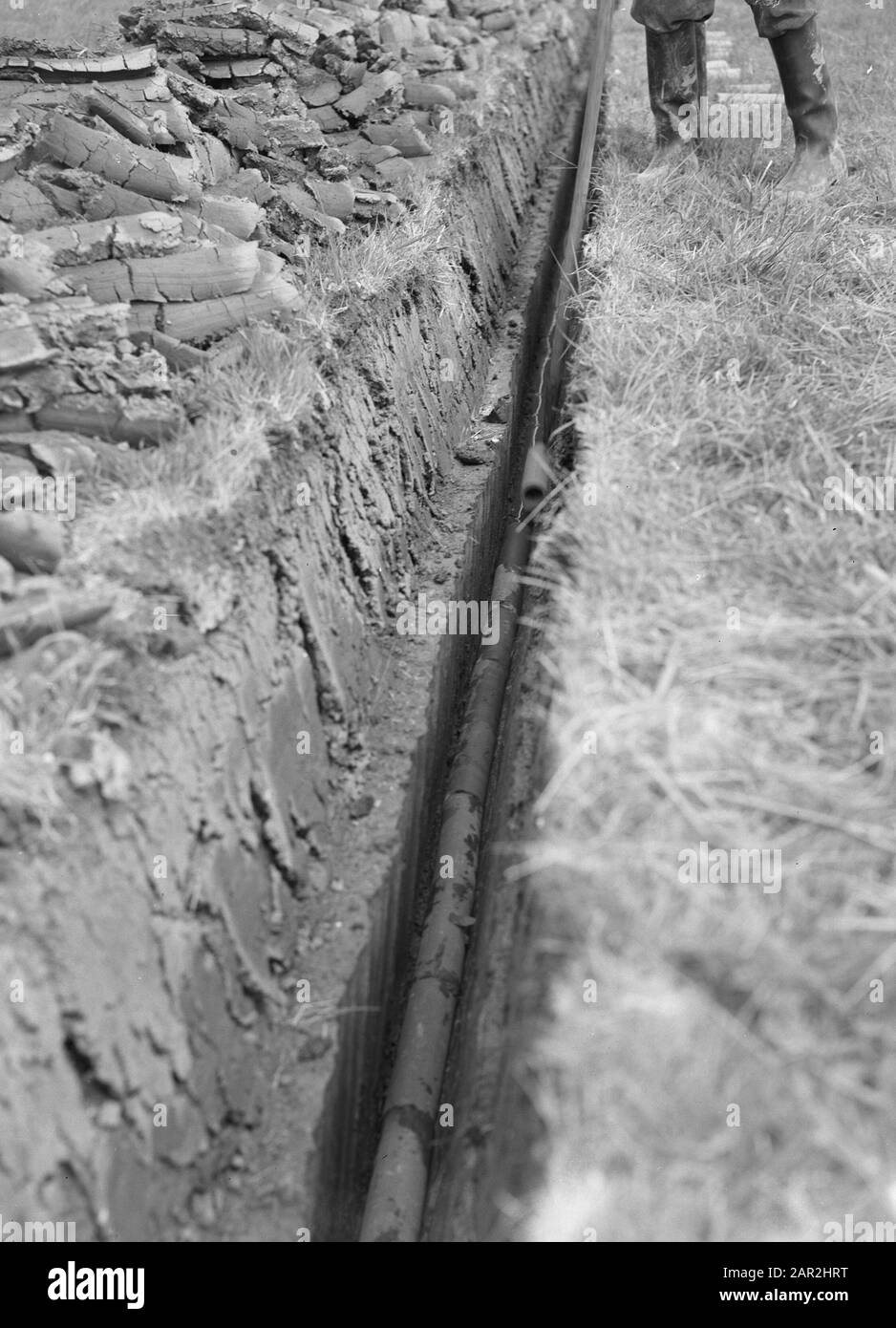 Drenaggio, posa, tubi, Maas e Waal Data: Agosto 1953 Località: Maas en Waal Parole Chiave: Tubi, drenaggio, posa Foto Stock