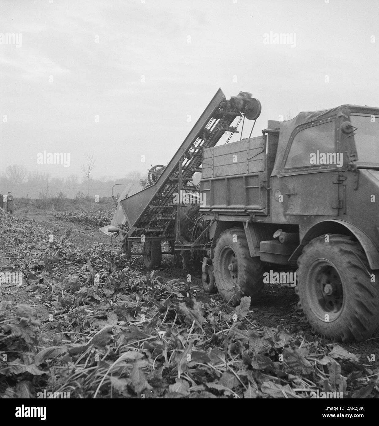 Macchine agricole, attrezzi, camion Data: Parole Chiave non utilizzate: Macchine agricole, camion, attrezzi Foto Stock