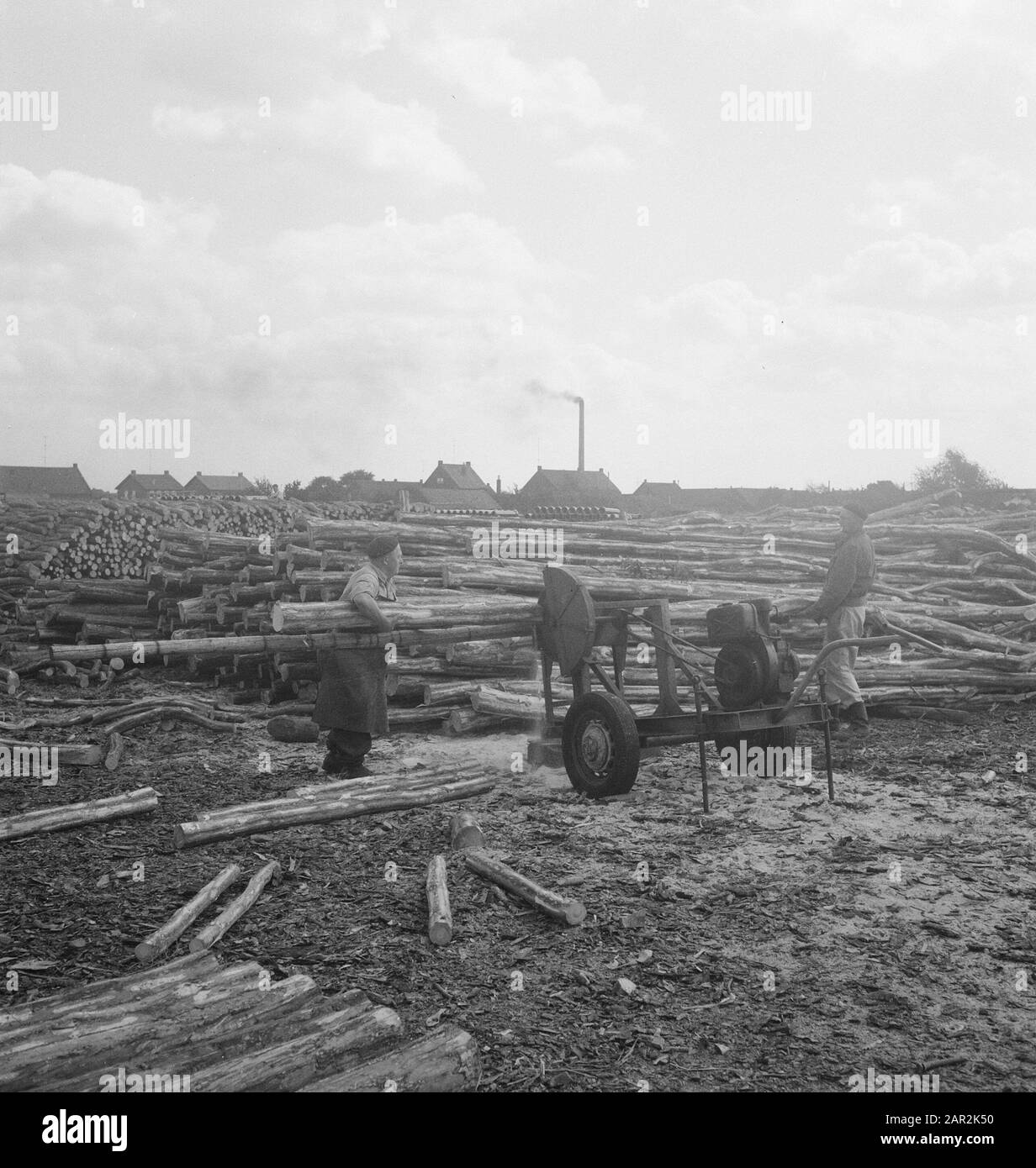 Deposito di legno, tronchi, lavoratori Data: Parole Chiave non utilizzate: Lavoratori, tronchi, deposito di legno Foto Stock