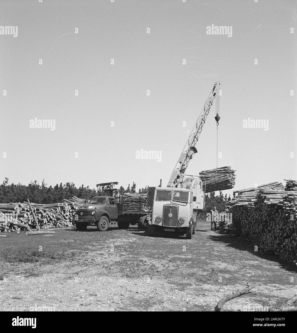 Deposito di legno, legno, operai Data: Parole Chiave non date: Operai, legno, deposito di legno Foto Stock