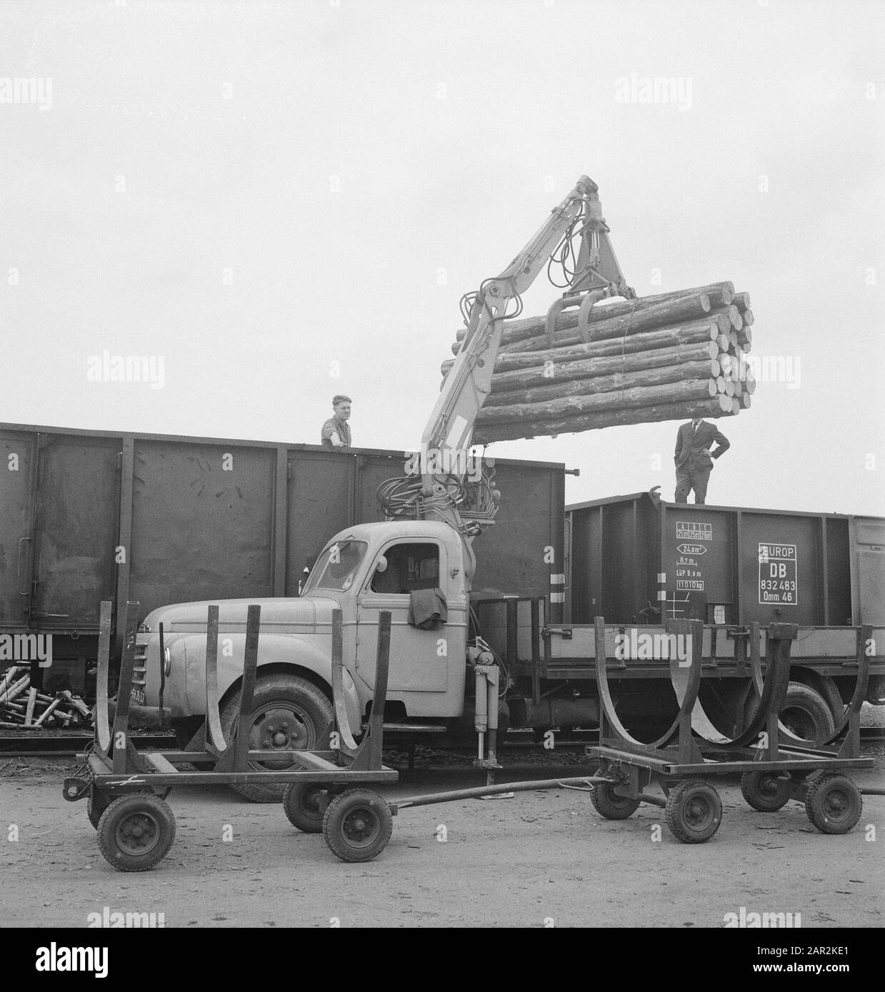 Negozi di legno, tronchi, linee ferroviarie, carri, carrelli Data: Parole Chiave non date: Tronchi, negozi di legno, carrelli, linee ferroviarie, carri Foto Stock