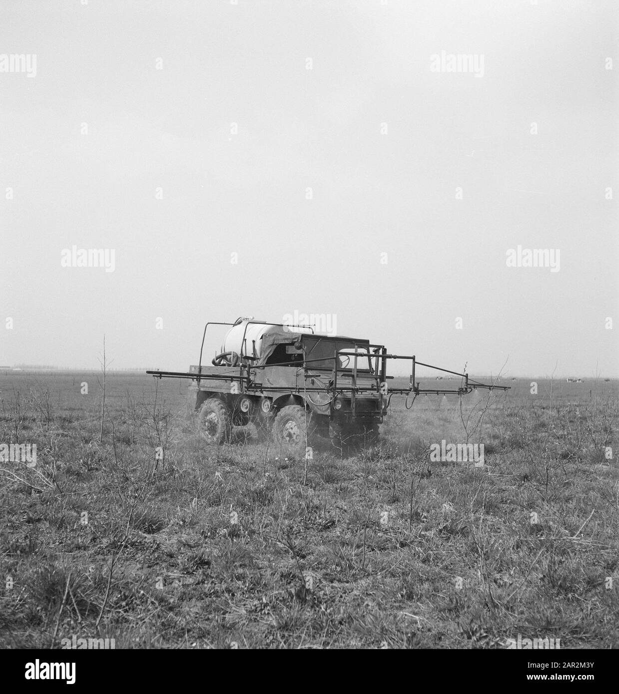 Terrains, automobili di spruzzo Data: Parole Chiave non date: Automobili di spruzzo, terrains Foto Stock