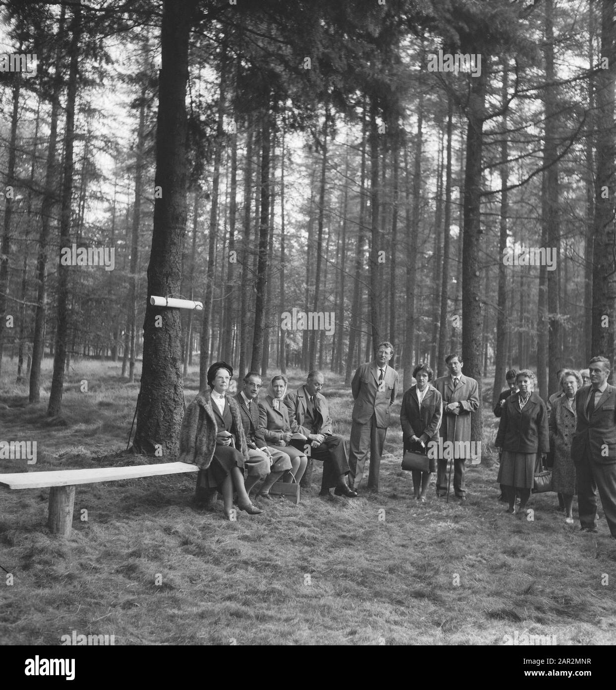 Persone, foreste, panche, seduta Data: Parole Chiave non date: Panche, foreste, persone, seduta Foto Stock