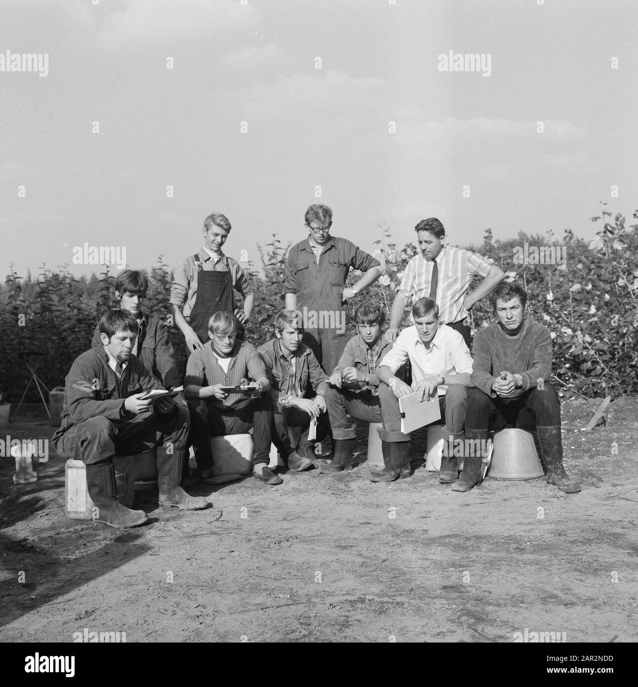 Uomini, seduti, foto di gruppo, arbusti, secchi Data: Parole Chiave non date: Secchi, foto di gruppo, uomini, cespugli, seduti Foto Stock