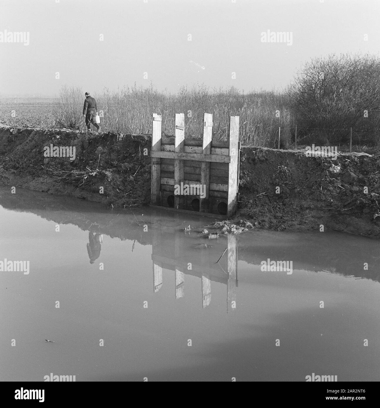 Acqua, spinte, uomini, banche Data: Non ondata posizione: Biesbosch Parole Chiave: Uomini, banche, stufe, acqua Foto Stock Acqua, spinte, uomini, banche Data: Non ondata posizione: Biesbosch Parole Chiave: Uomini, banche, stufe, acqua Foto Stock
