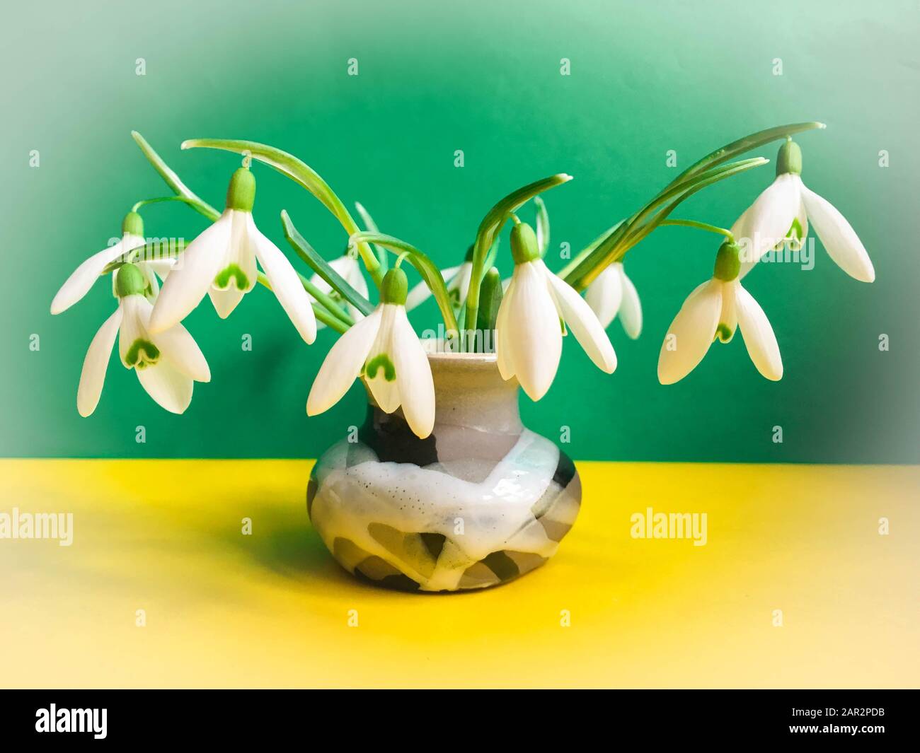 Foto del bouquet dei primi fiori primaverili innevati nel vaso Foto Stock