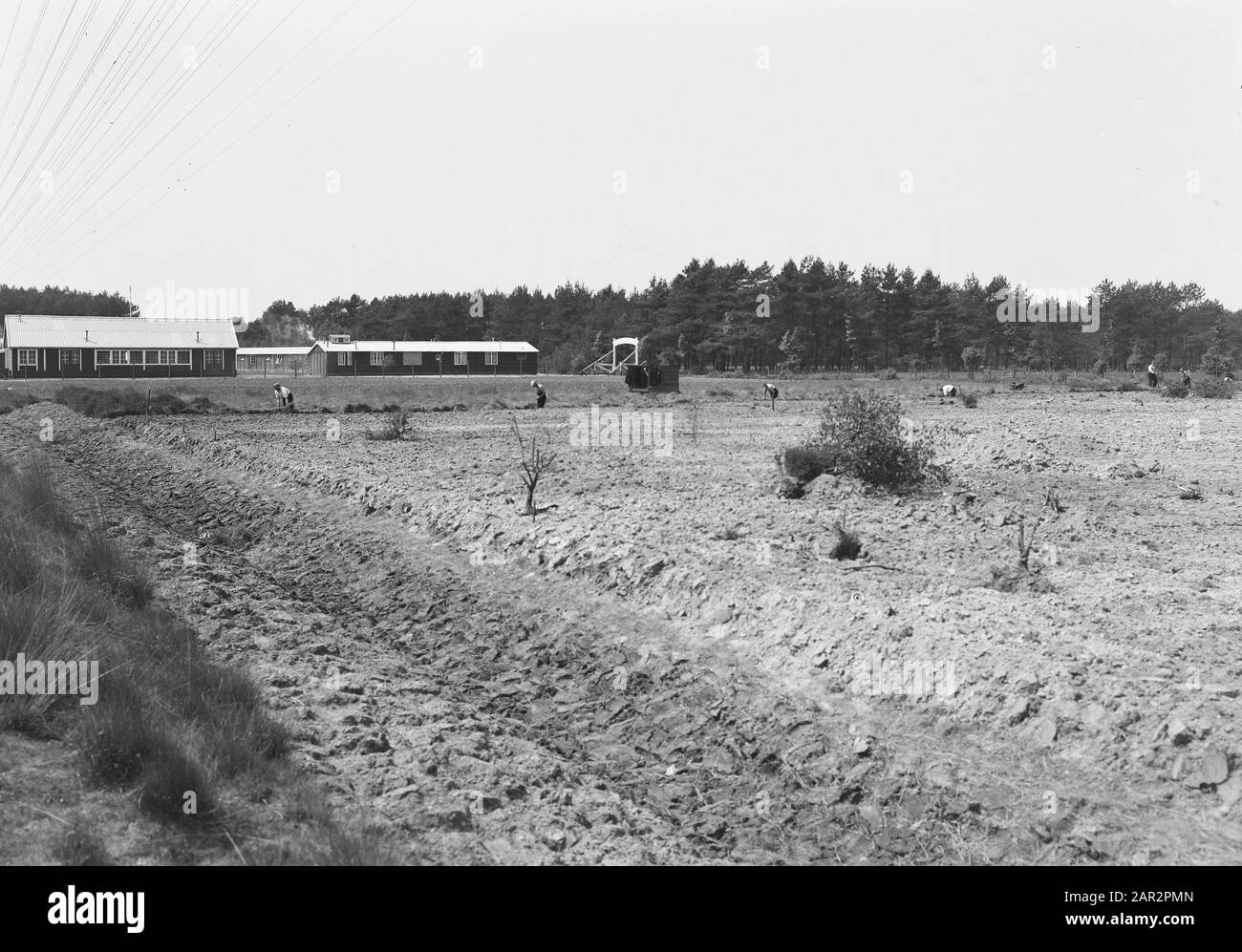 Landgoed Junne. Work Camp Annotation: I terreni del villaggio di Junne erano di proprietà della famiglia Lüps dal 1872 al 1932. Dopo di che, la tenuta venne nelle mani del barone M. Bentinck a Buckhorst da Beerze. Dopo la morte della signora Bentinck il 29 giugno 1938, la proprietà fu venduta per 400.000 fiorini alla compagnia di assicurazioni Amstleven, oggi Delta Lloyd. Anno 2014, la proprietà è ancora in possesso di Delta Lloyd. Prima della Seconda guerra mondiale, c'era un campo di lavoro a Junne, dove sulla proprietà della compagnia di assicurazione con aiuti di Stato e sotto la guida della Nederlandse Heidemaatschappi Foto Stock