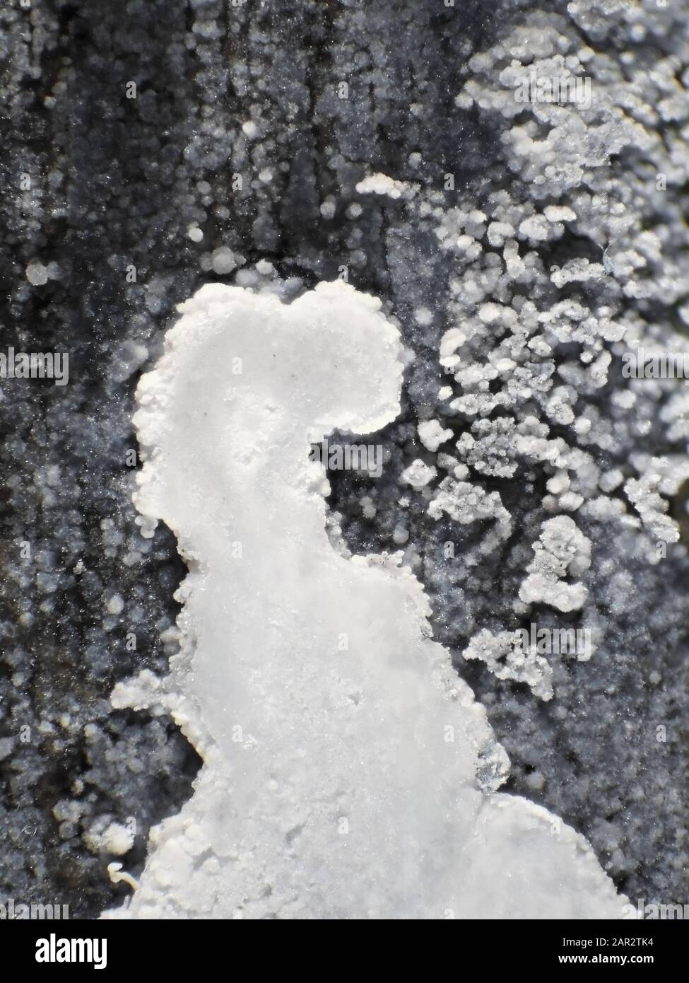 Carbonato di potassio sulla superficie della batteria alcalina a perdita, micrografia a luce riflessa Foto Stock