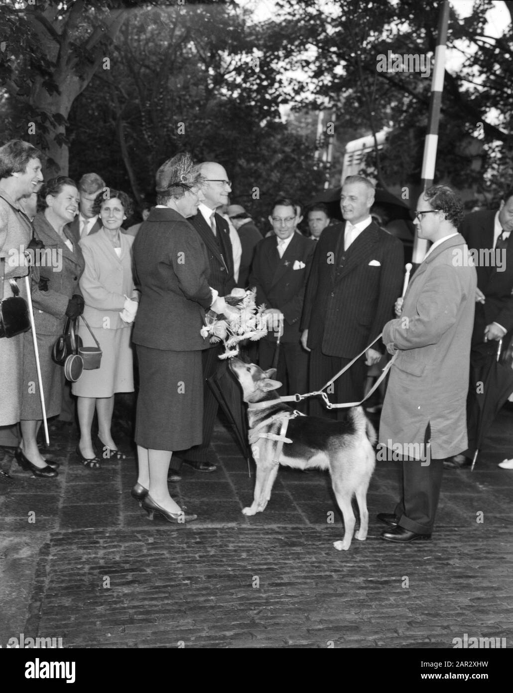 Queen Juliana visita la scuola di formazione del Royal Dutch Guided Dog Fund al Middenweg di Amsterdam Regina Juliana in conversazione con [...] Data: 23 Settembre 1960 Località: Amsterdam, Noord-Holland Parole Chiave: Cani, regine, scuole Nome personale: Juliana, queen Institution name: Royal Dutch Guide Dogs Fund Foto Stock