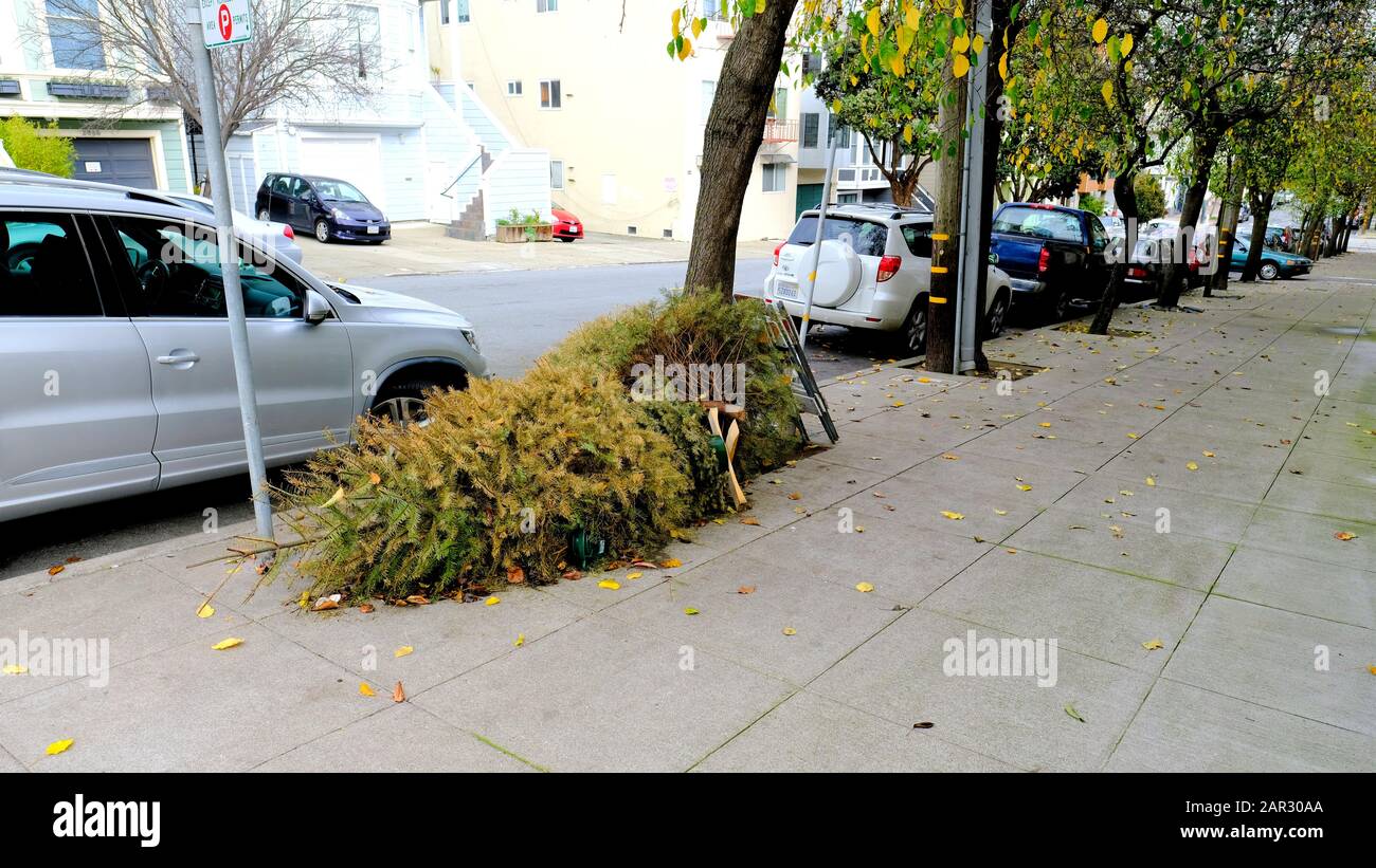 Due alberi di Natale lasciati su un marciapiede nel mese di gennaio, alla fine della stagione di Natale; riciclaggio, per il compost, per il bidone dei rifiuti, rifiuti o discariche. Foto Stock
