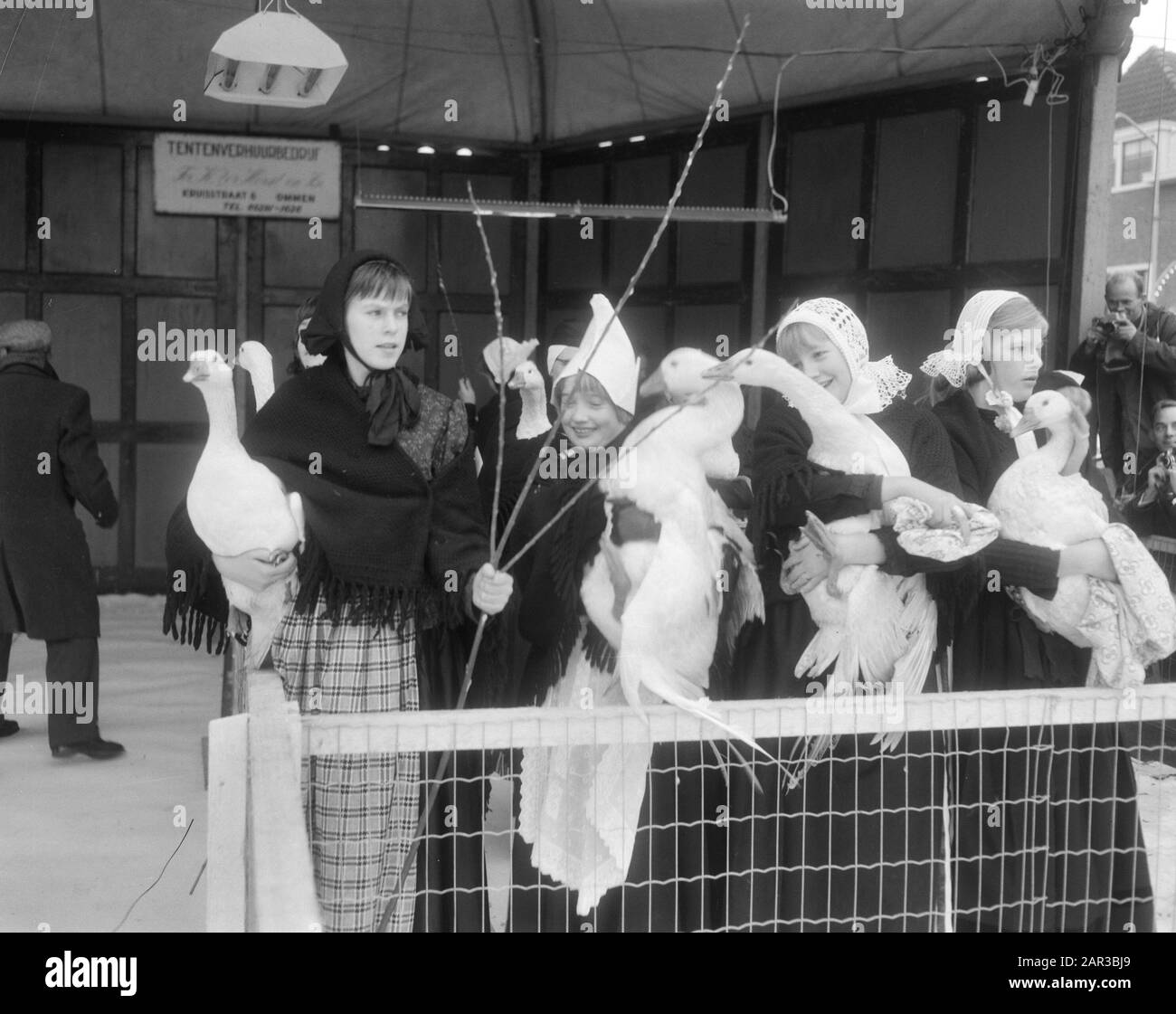 Mercato annuale Goose a Coevorden sul mercato tradizionalmente vestiti goose custodi mostrare le oche al pubblico Data: 14 novembre 1966 posizione: Coevorden, Drenthe Parole Chiave: Animali, oche, mercati Foto Stock