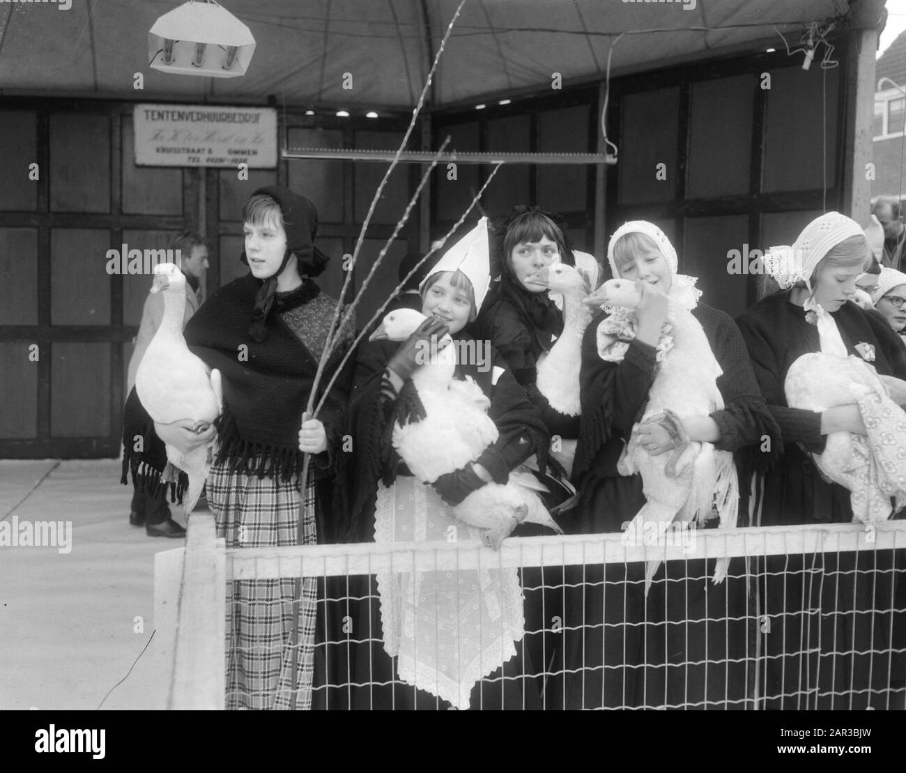 Mercato annuale Goose a Coevorden sul mercato tradizionalmente vestiti goose custodi mostrare le oche al pubblico Data: 14 novembre 1966 posizione: Coevorden, Drenthe Parole Chiave: Animali, oche, mercati Foto Stock