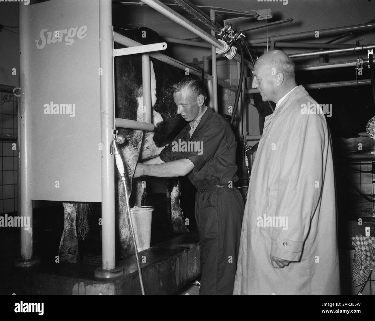 Il Ministro Mansholt apre la fattoria modello a Schiphol Data: 18 Settembre 1957 Località: Noord-Holland, Schiphol Parole Chiave: Model farm, aperture Nome personale: Mansholt, Sicco Foto Stock Il Ministro Mansholt apre la fattoria modello a Schiphol Data: 18 Settembre 1957 Località: Noord-Holland, Schiphol Parole Chiave: Model farm, aperture Nome personale: Mansholt, Sicco Foto Stock