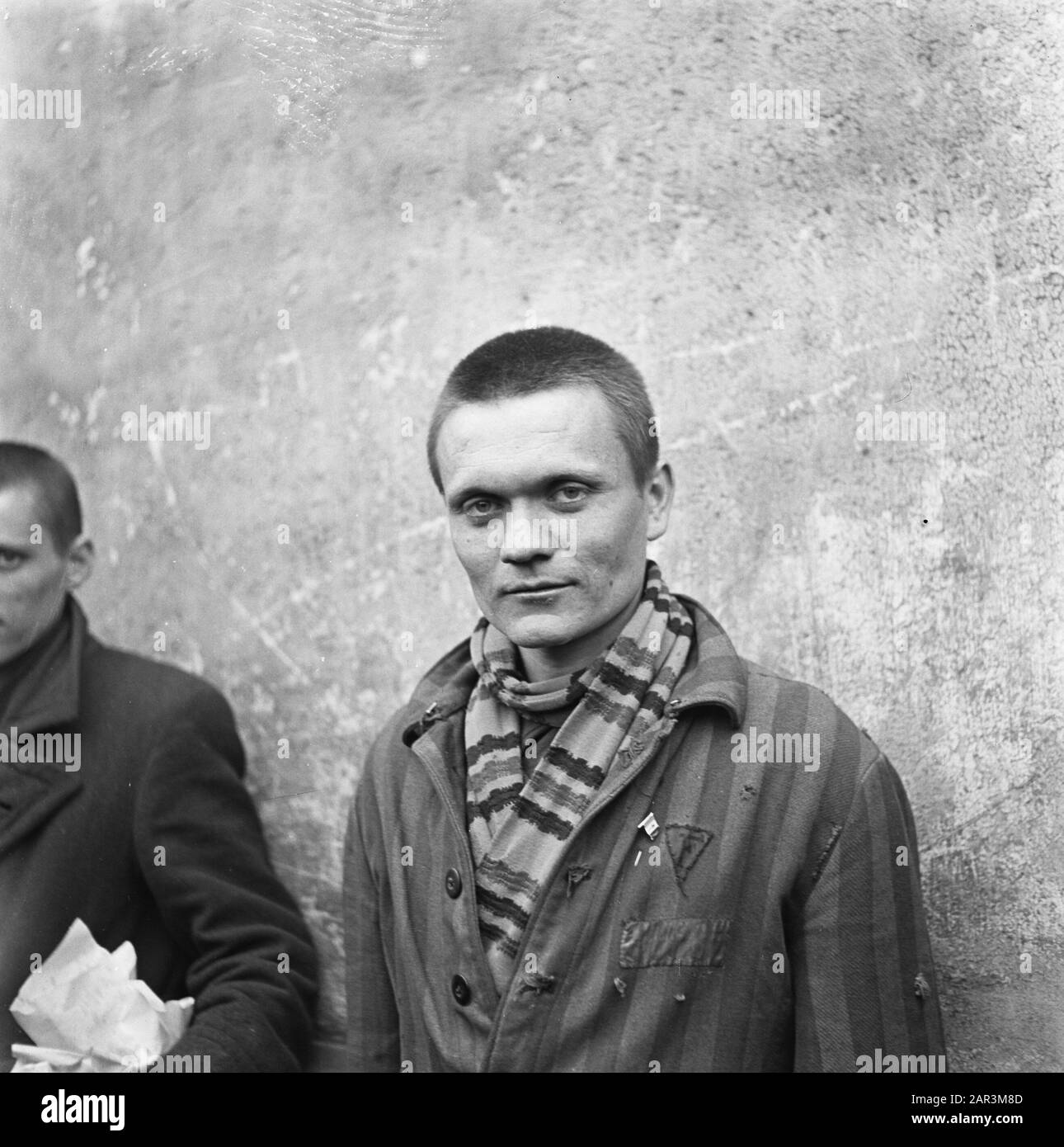 Festival di liberazione: Belgio Bruxelles Wreath deposizione di prigionieri politici francesi liberati sulla tomba del Milite Ignoto a Bruxelles Data: Aprile 1945 luogo: Belgio, Bruxelles Parole Chiave: Prigionieri Wreathers, seconda guerra mondiale Foto Stock