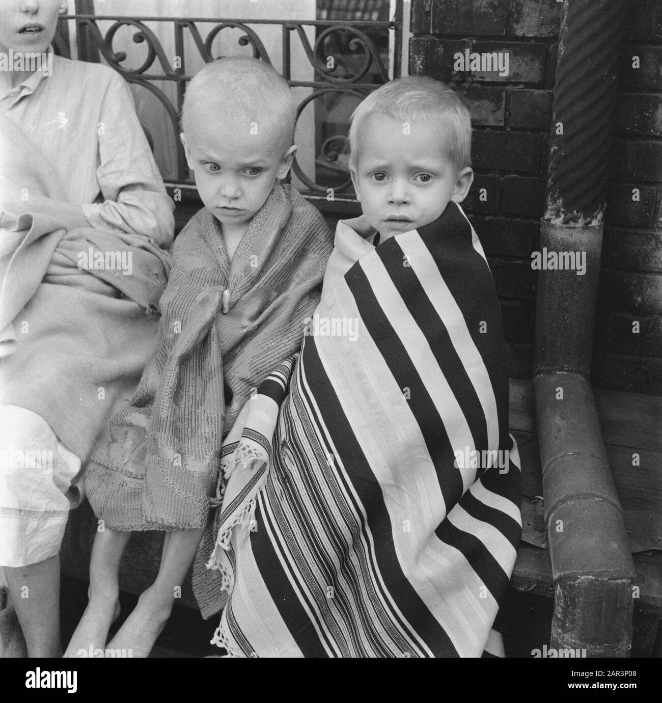 Cura dei bambini della Croce Rossa bambini Malnutriti avvolti in coperte Data: 1945 Parole Chiave: Croce Rossa, seconda guerra mondiale Foto Stock