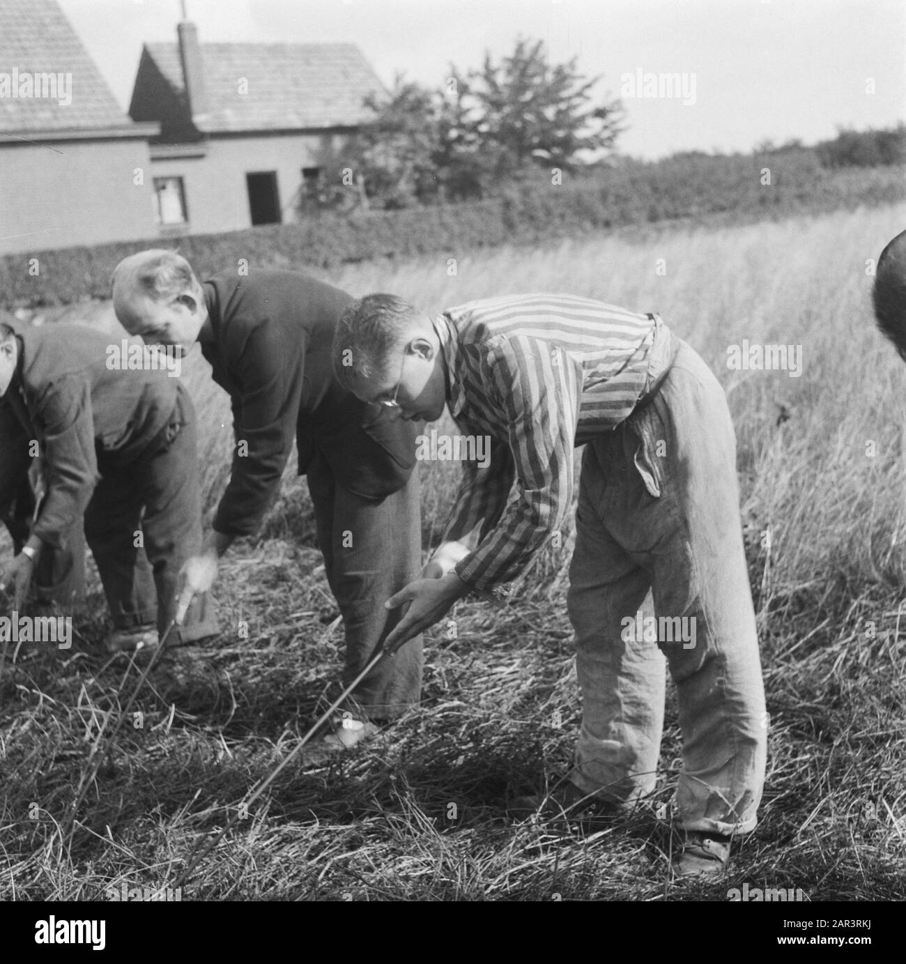 Estrazione a Vierlingsbeek Annotazione: Interneded chi ha dovuto pulire le miniere? Data: 1945 Luogo: Noord-Brabant, Vierlingsbeek Parole Chiave: Recupero, Seconda Guerra Mondiale Foto Stock