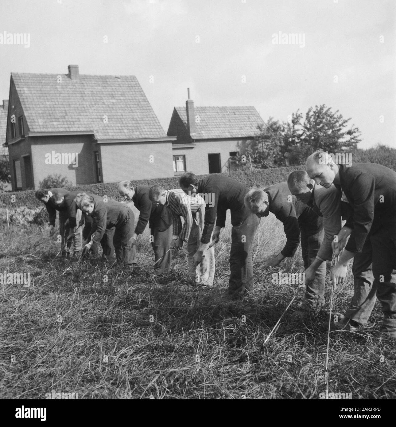 Eliminazione delle miniere a Vierlingsbeek Annotazione: Persone interneded sono utilizzati nella clearance mineraria? Data: 1945 Luogo: Noord-Brabant, Vierlingsbeek Parole Chiave: Recupero, Seconda Guerra Mondiale Foto Stock