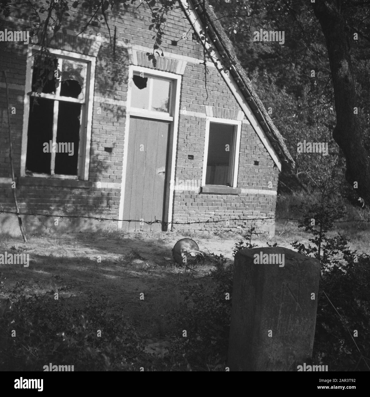 Confine tedesco-olandese Un'azienda agricola abbandonata e danneggiata Data: 1945 Foto Stock