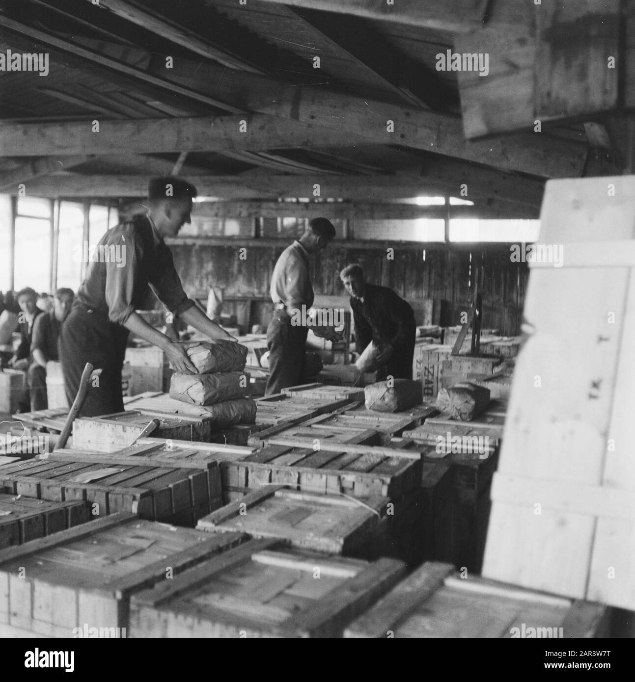 Spedizione di scatole di bulbi di fiori in Svezia Scatole Di Confezionamento con imballaggi bulbi di fiori Data: 1945 Parole Chiave: Bulbi di fiori, esportazione Foto Stock