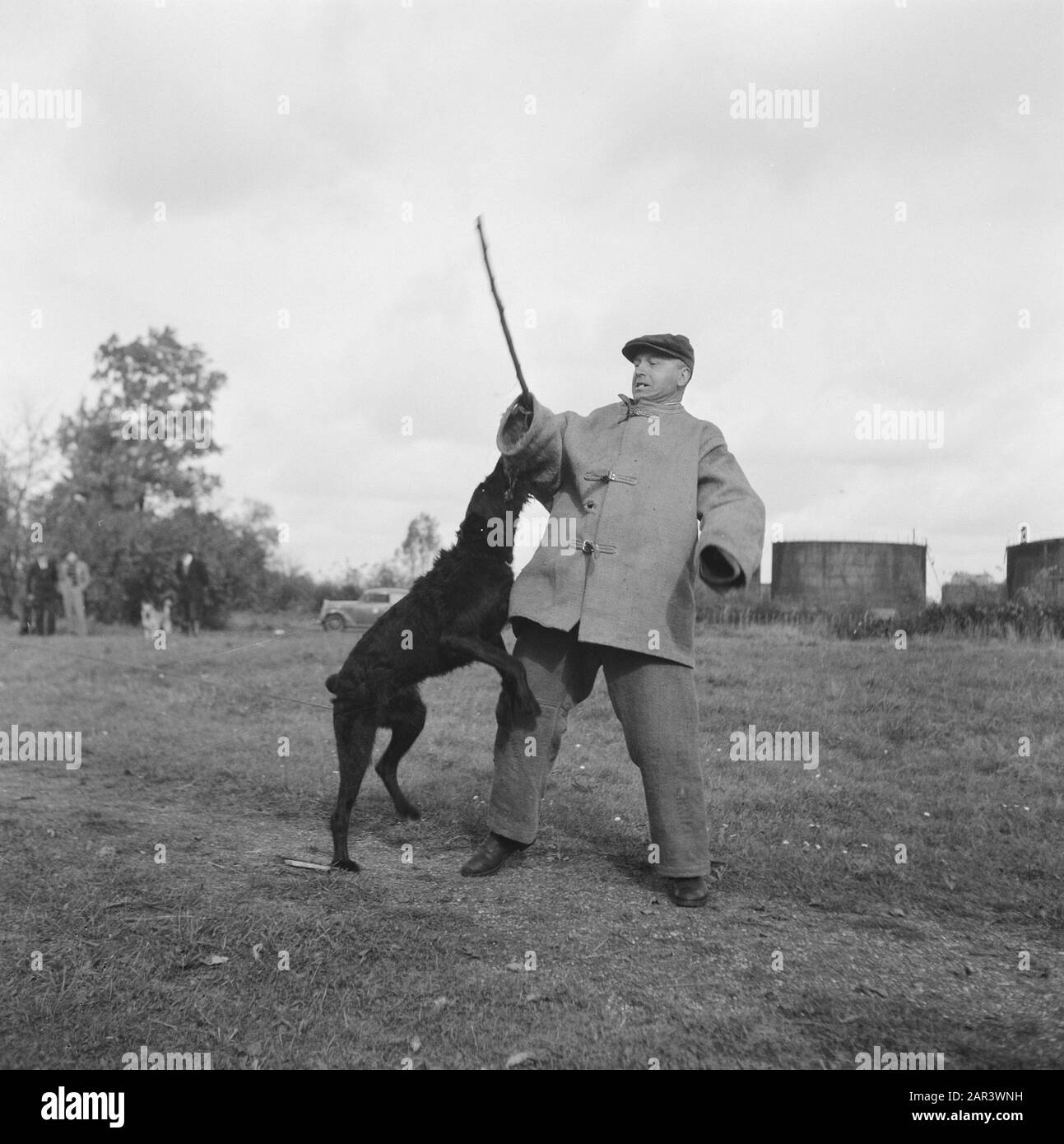 Series About training polizia dogs Data: 1945 Parole Chiave: Seconda guerra mondiale, Bestiame Foto Stock