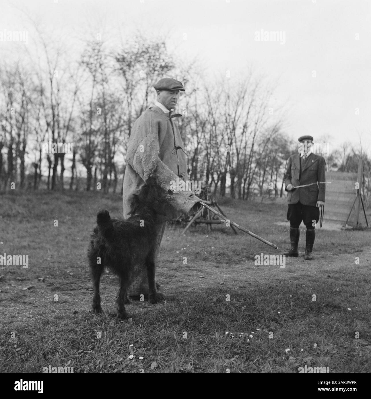 Series About training polizia dogs Data: 1945 Parole Chiave: Seconda guerra mondiale, Bestiame Foto Stock
