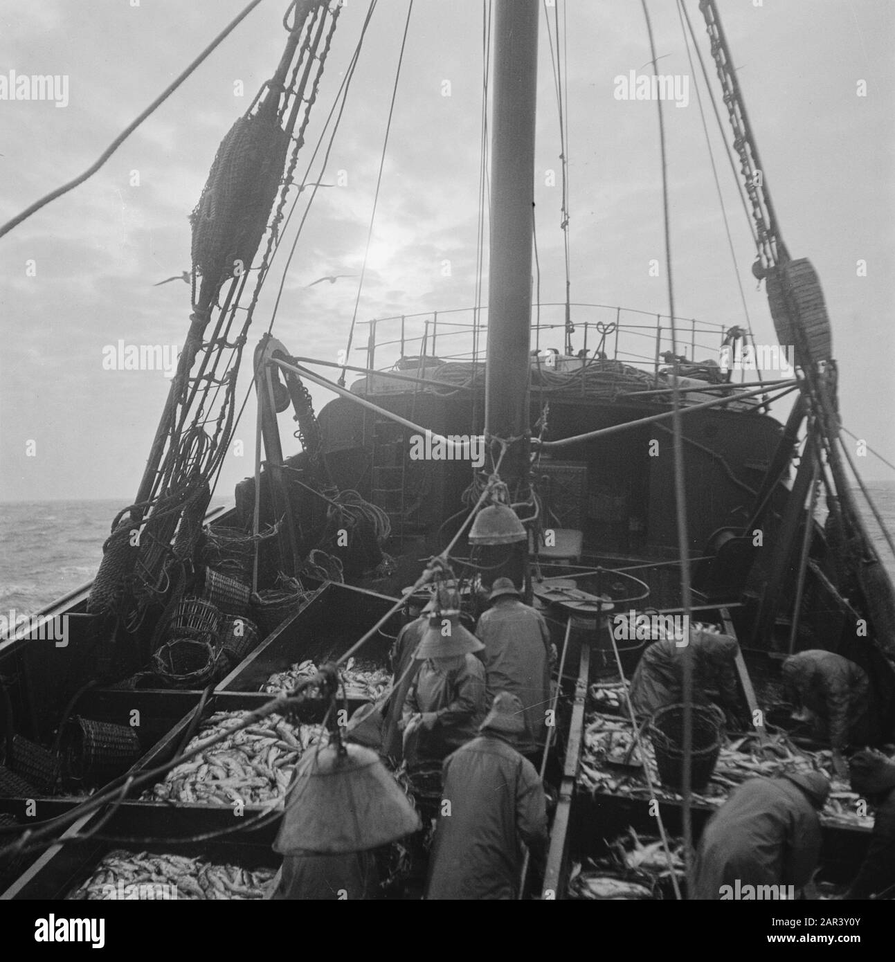 Data di pesca: 5 febbraio 1946 Parole Chiave: Catture di pesce Foto Stock Data di pesca: 5 febbraio 1946 Parole Chiave: Catture di pesce Foto Stock