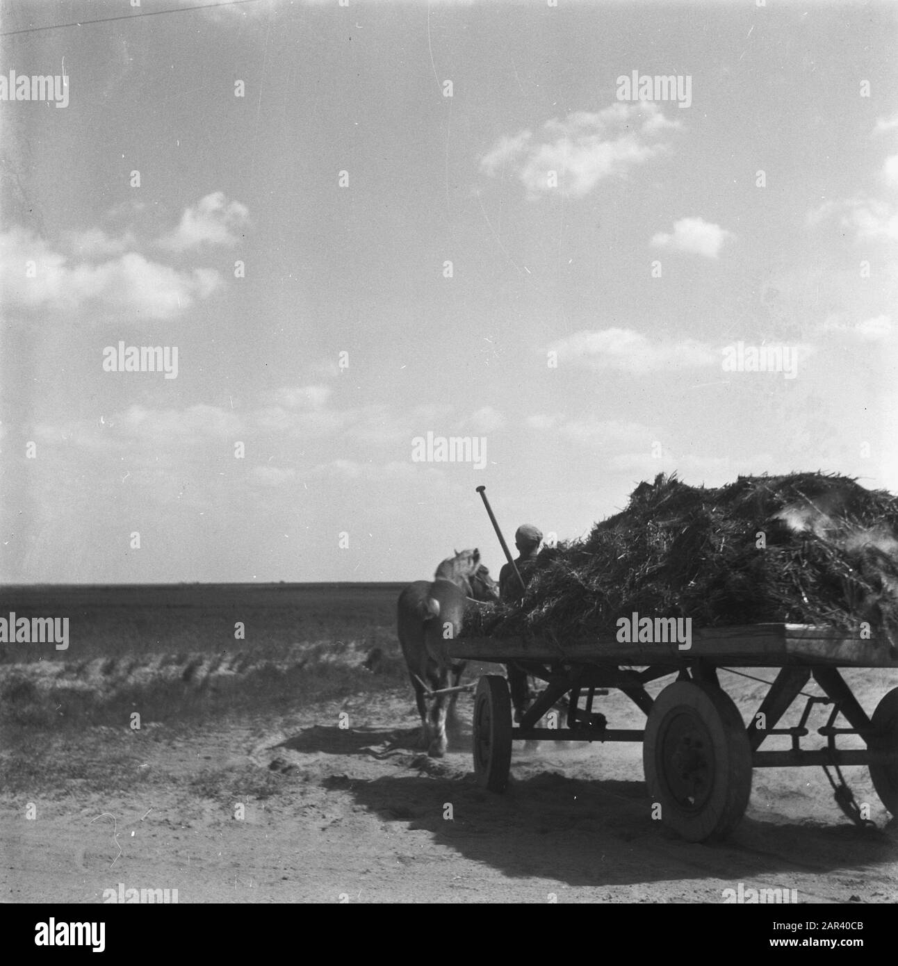 Petroleumhaven Data: 22 Maggio 1946 Foto Stock