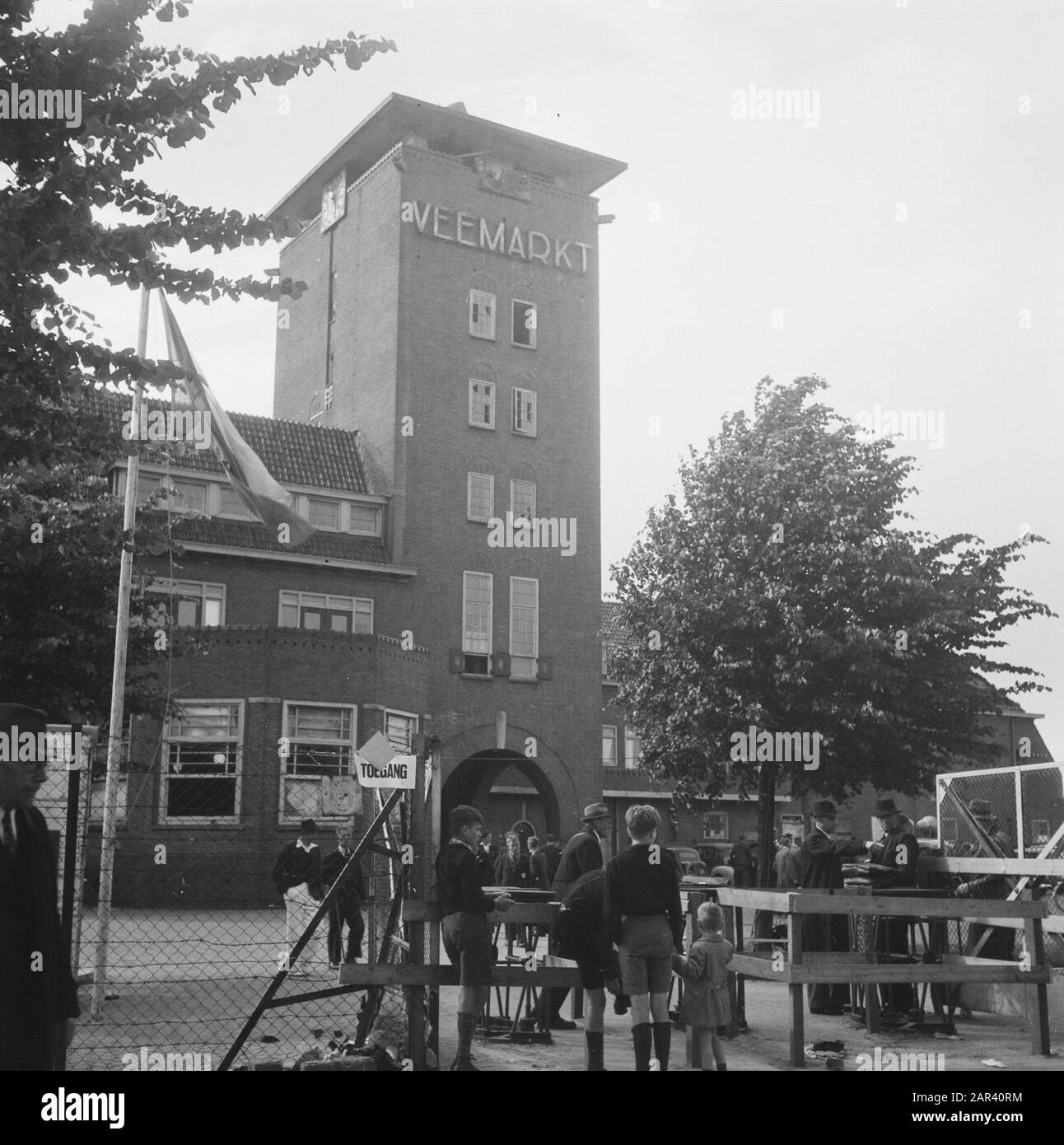 Approvazione stallone a Den Bosch Data: 21 giugno 1946 Località: Den Bosch Parole Chiave: Approvazioni stalloni Foto Stock