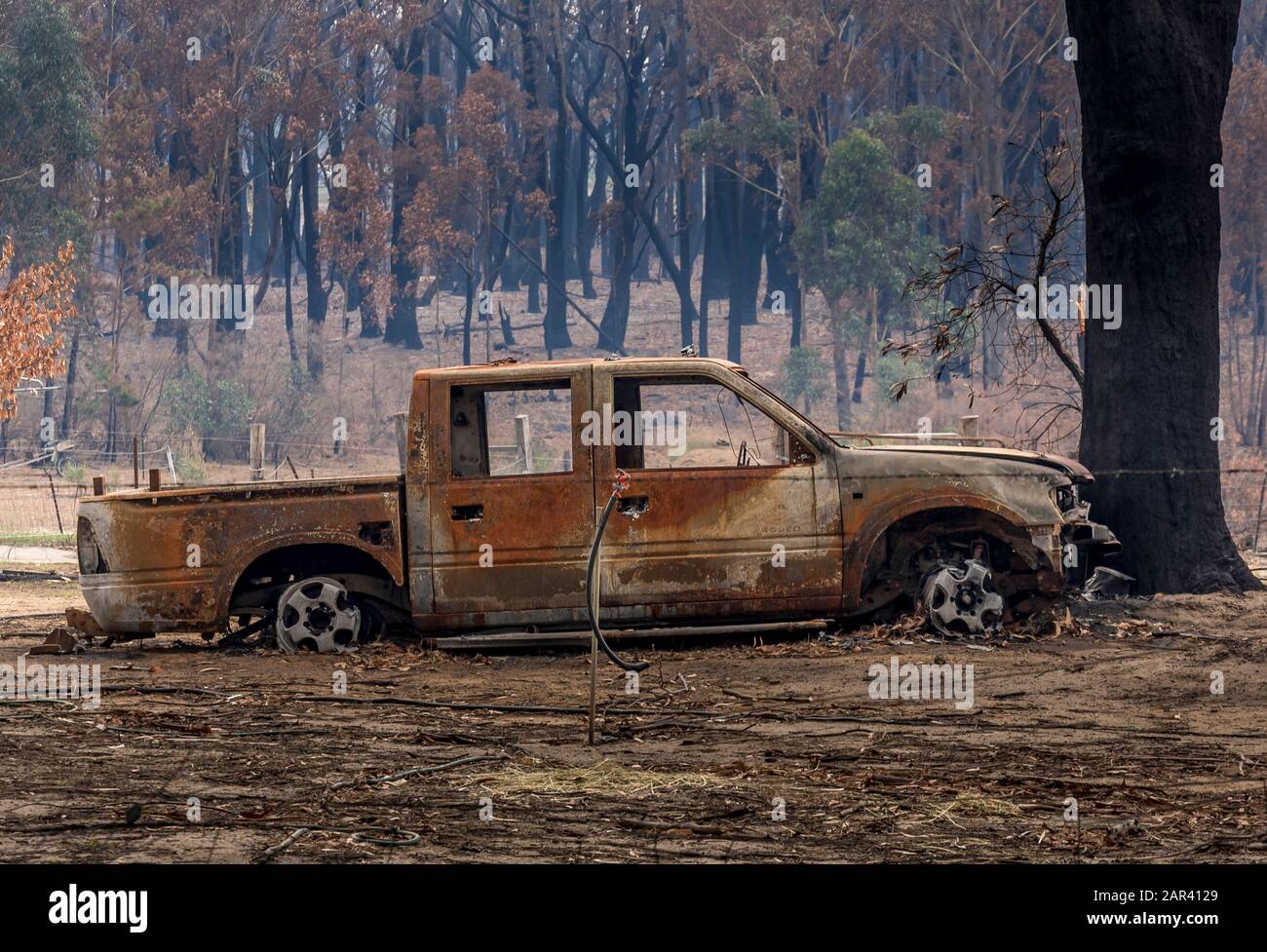 I Boscoscimani australiani sono all'indomani. Wingello, SW. Il fuoco si è verificato la notte del 4 gennaio Foto Stock