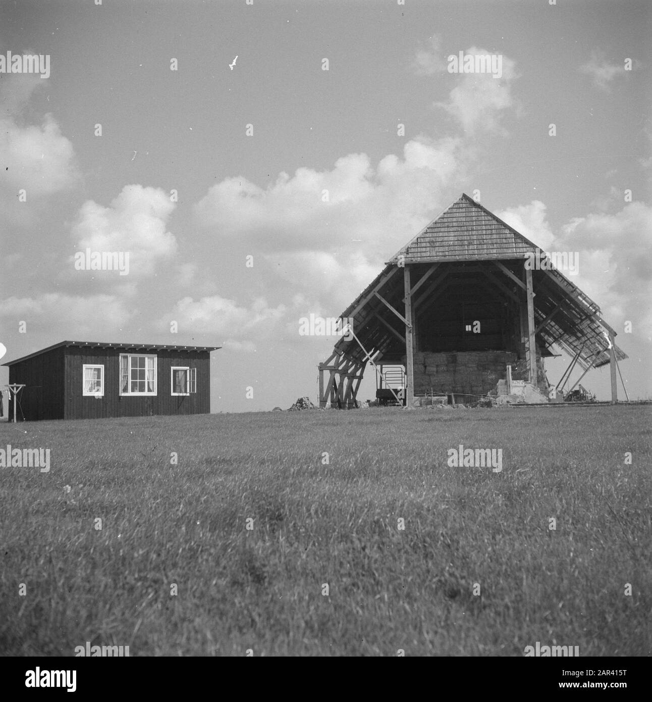 Serie Wieringermeer. Fienile tratteggiato con una casa di emergenza sulla sinistra. Data: 26 Agosto 1946 Luogo: Noord-Holland, Wieringermeer Parole Chiave: Serie Foto Stock