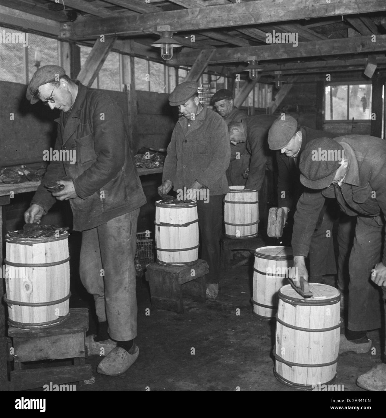 Oyster nursery Data: 17 aprile 1947 Parole Chiave: Oyster farm Foto Stock Oyster nursery Data: 17 aprile 1947 Parole Chiave: Oyster farm Foto Stock