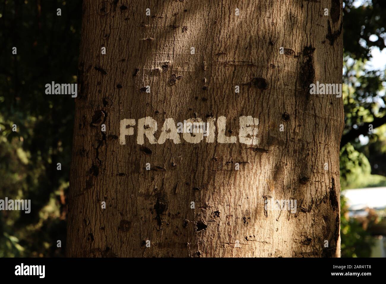 Immagine concettuale eco-coscienza Foto Stock