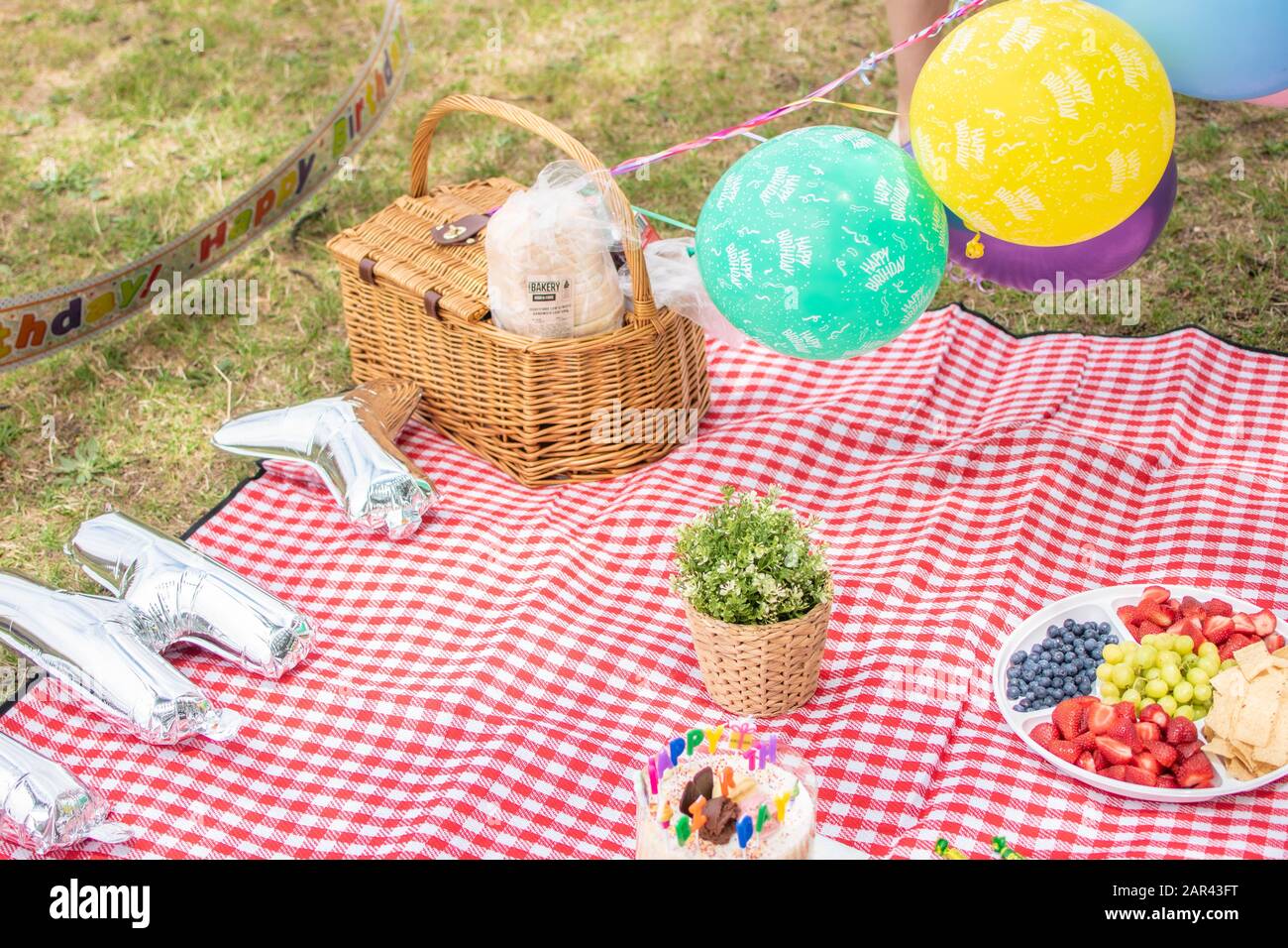 Meraviglioso picnic compleanno in un parco con globi, torta, frutta e kit picnic, Victoria, Melbourne, Australia Foto Stock