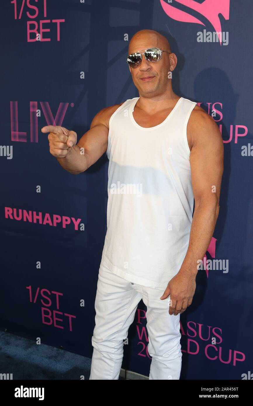 Hallandale BEACH, FL - 25 GENNAIO: VIN Diesel partecipa al campionato mondiale di Pegasus 2020 Invitational Series al Gulfstream Park il 25 gennaio 2020 a Hallandale, Florida. Persone: Vin Diesel Foto Stock