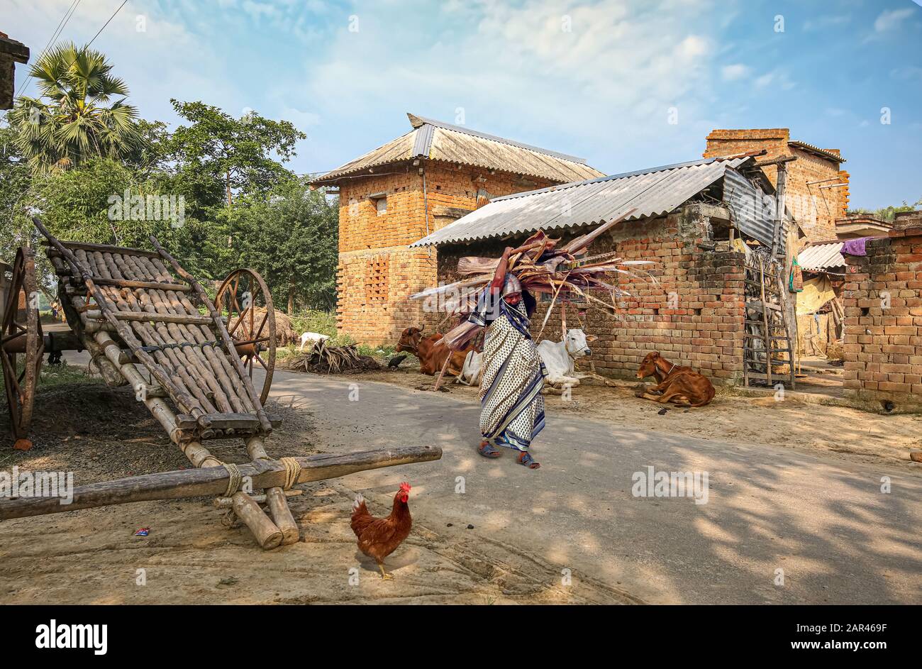 Villaggio rurale indiano scena con case di mattoni, mucche, a mano tirato carro dalla strada. Fotografia scattata a un villaggio vicino Bolpur, Bengala Occidentale Foto Stock